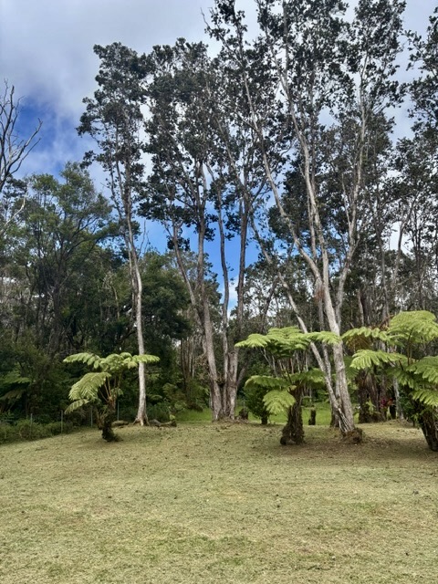 Haunani Rd Property Photo 6