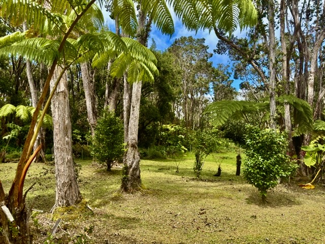 Haunani Rd Property Photo 7