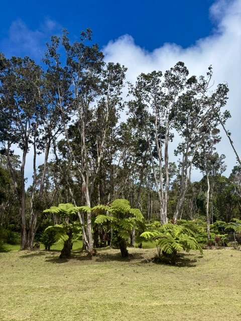 Haunani Rd Property Photo 8