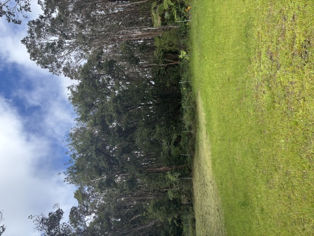 Haunani Rd Property Photo 9
