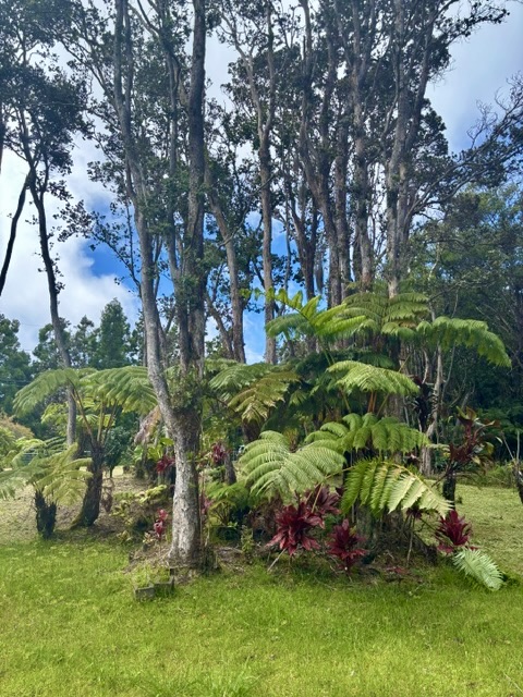 Haunani Rd Property Photo 10