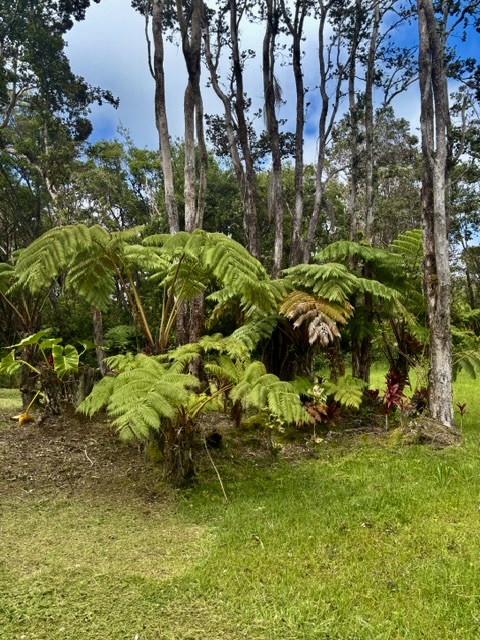 Haunani Rd Property Photo 11