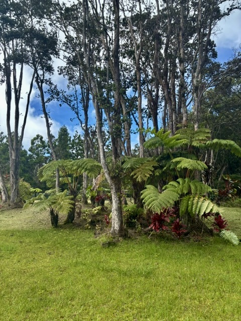 Haunani Rd Property Photo 13