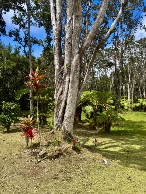 Haunani Rd Property Photo 14