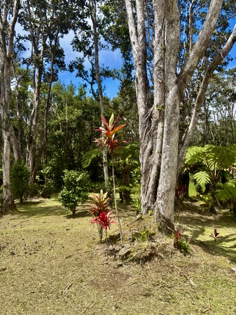 Haunani Rd Property Photo 16