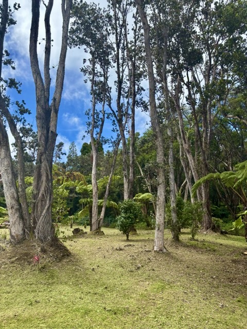 Haunani Rd Property Photo 17