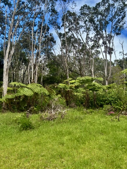Haunani Rd Property Photo 19