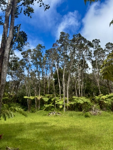 Haunani Rd Property Photo 23