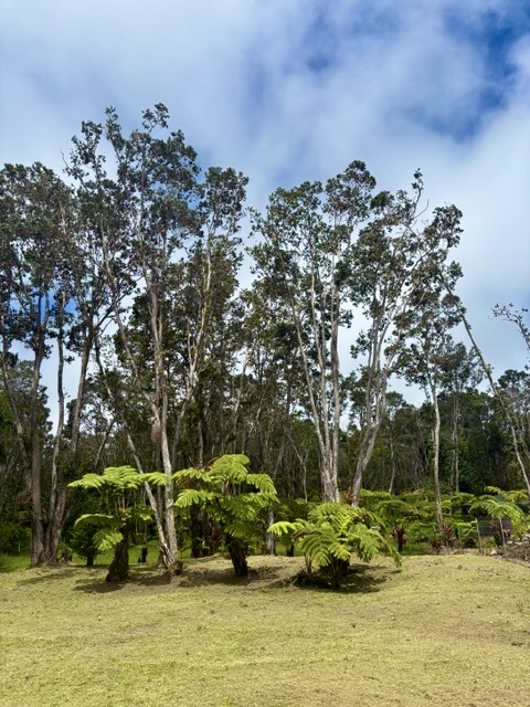 Haunani Rd Property Photo 24