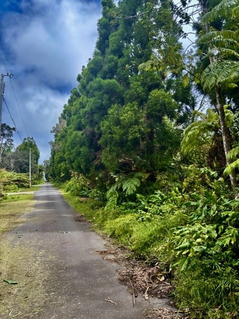 Haunani Rd Property Photo 27