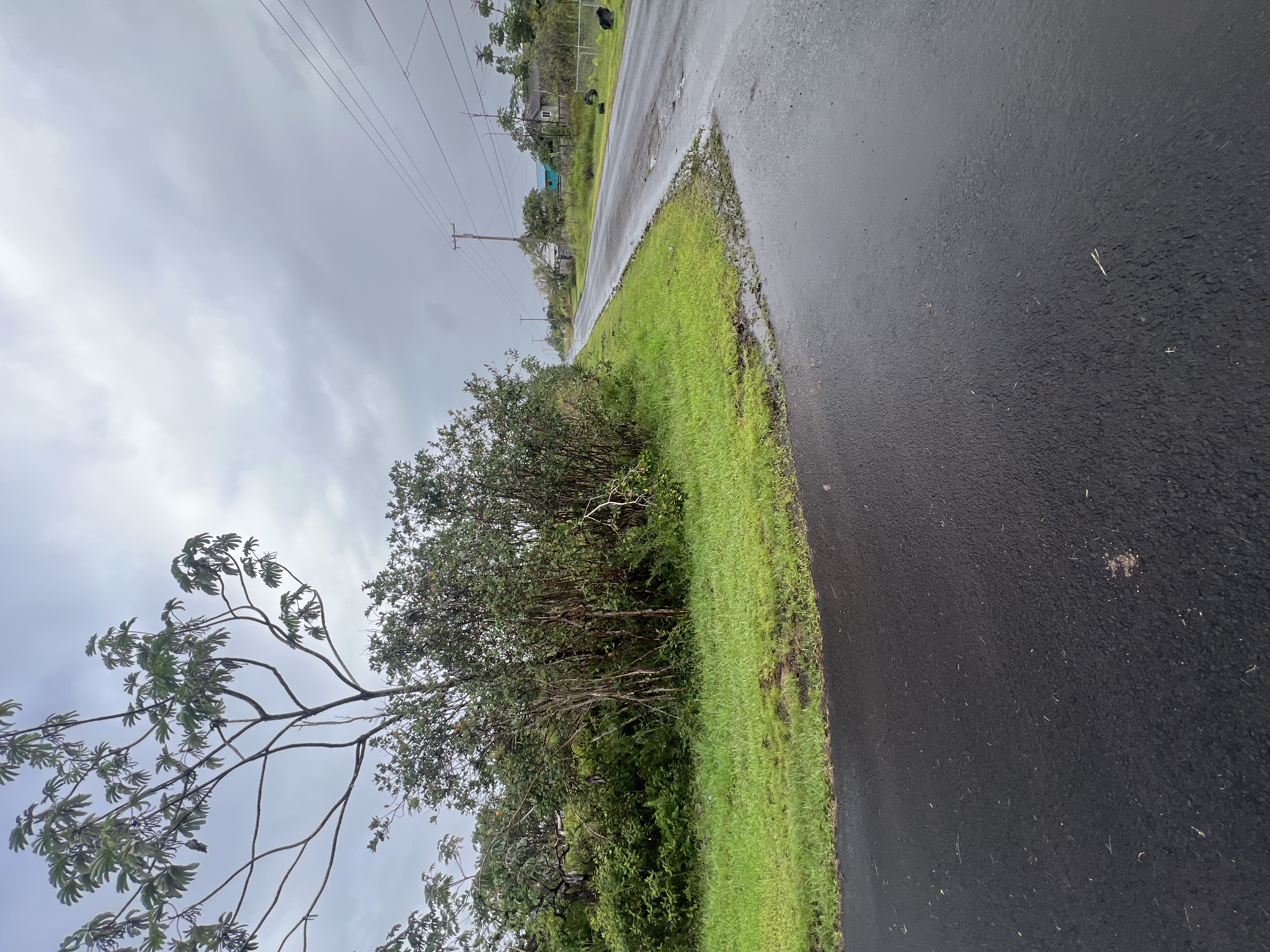 Mauna Kea Dr Property Photo 1