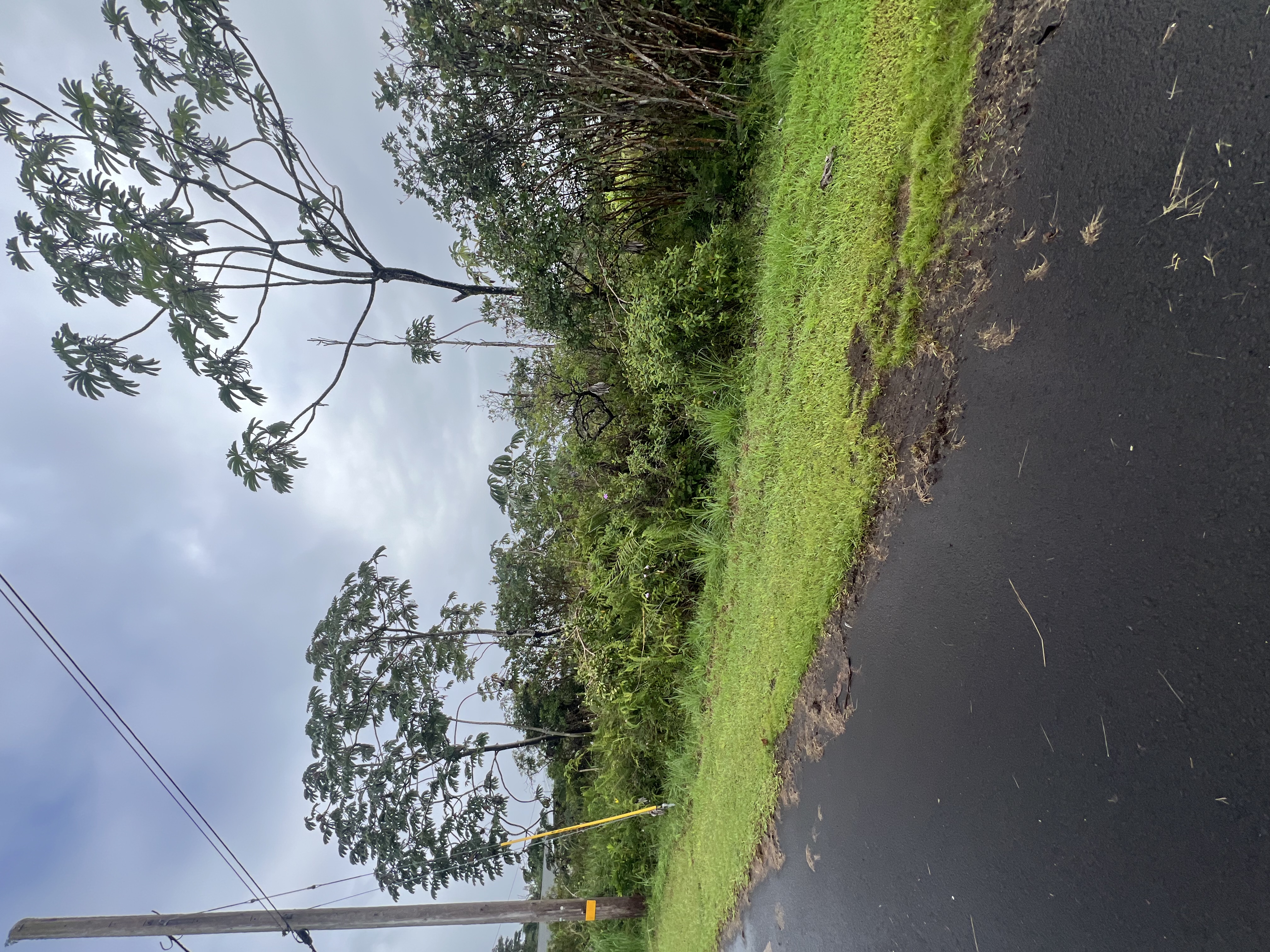 Mauna Kea Dr Property Photo 2