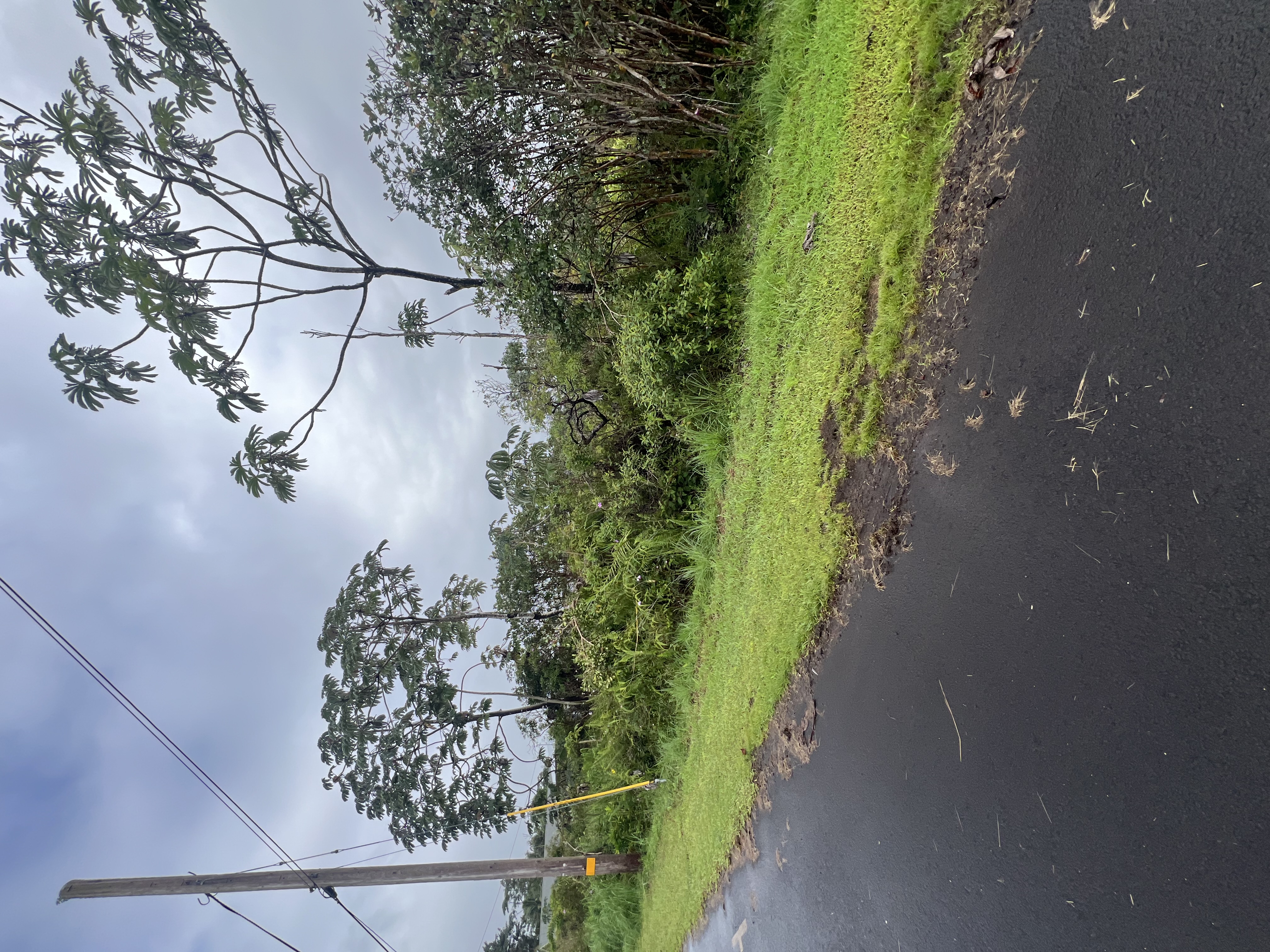 Mauna Kea Dr Property Photo 3