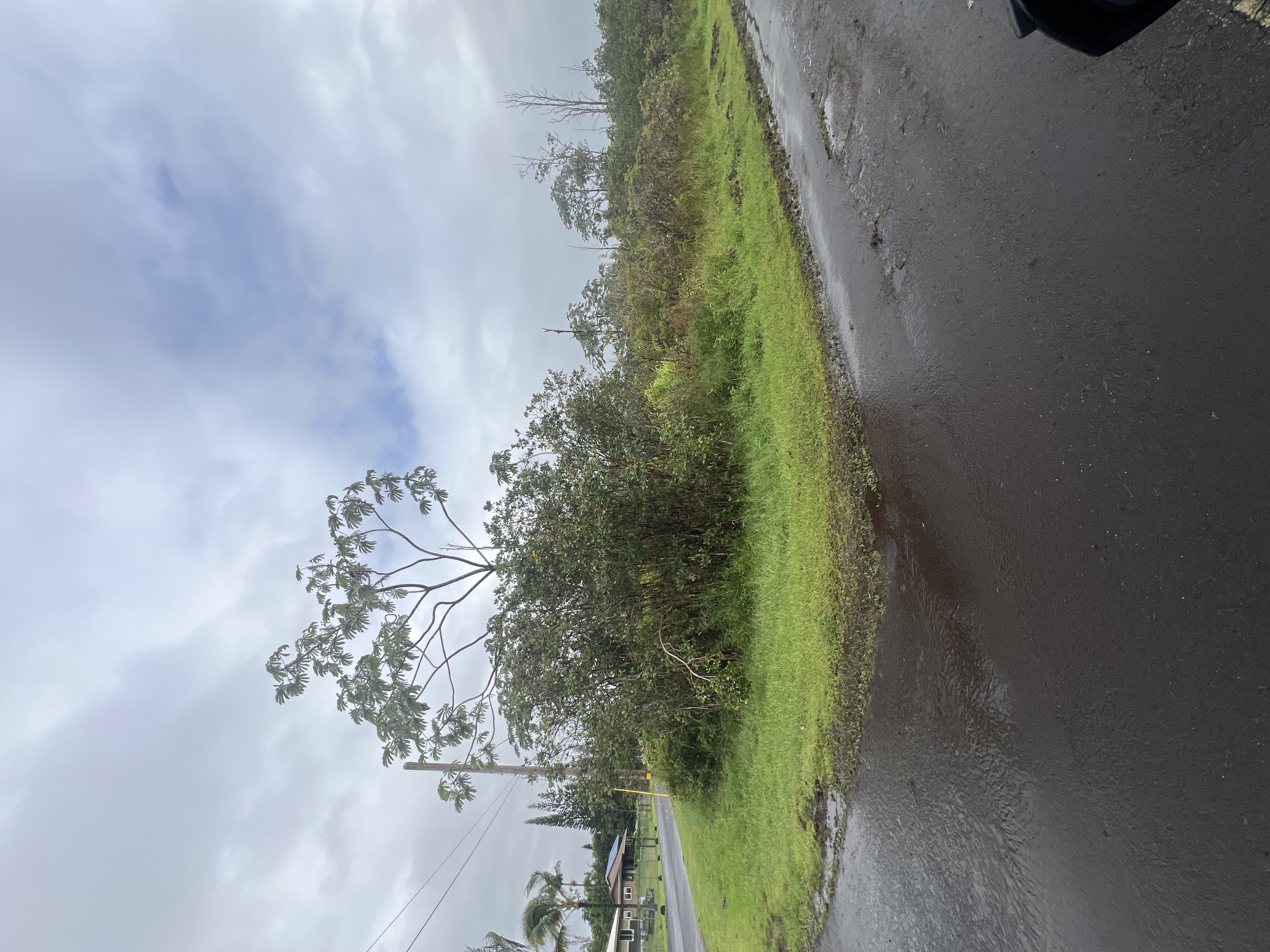 Mauna Kea Dr Property Photo 4