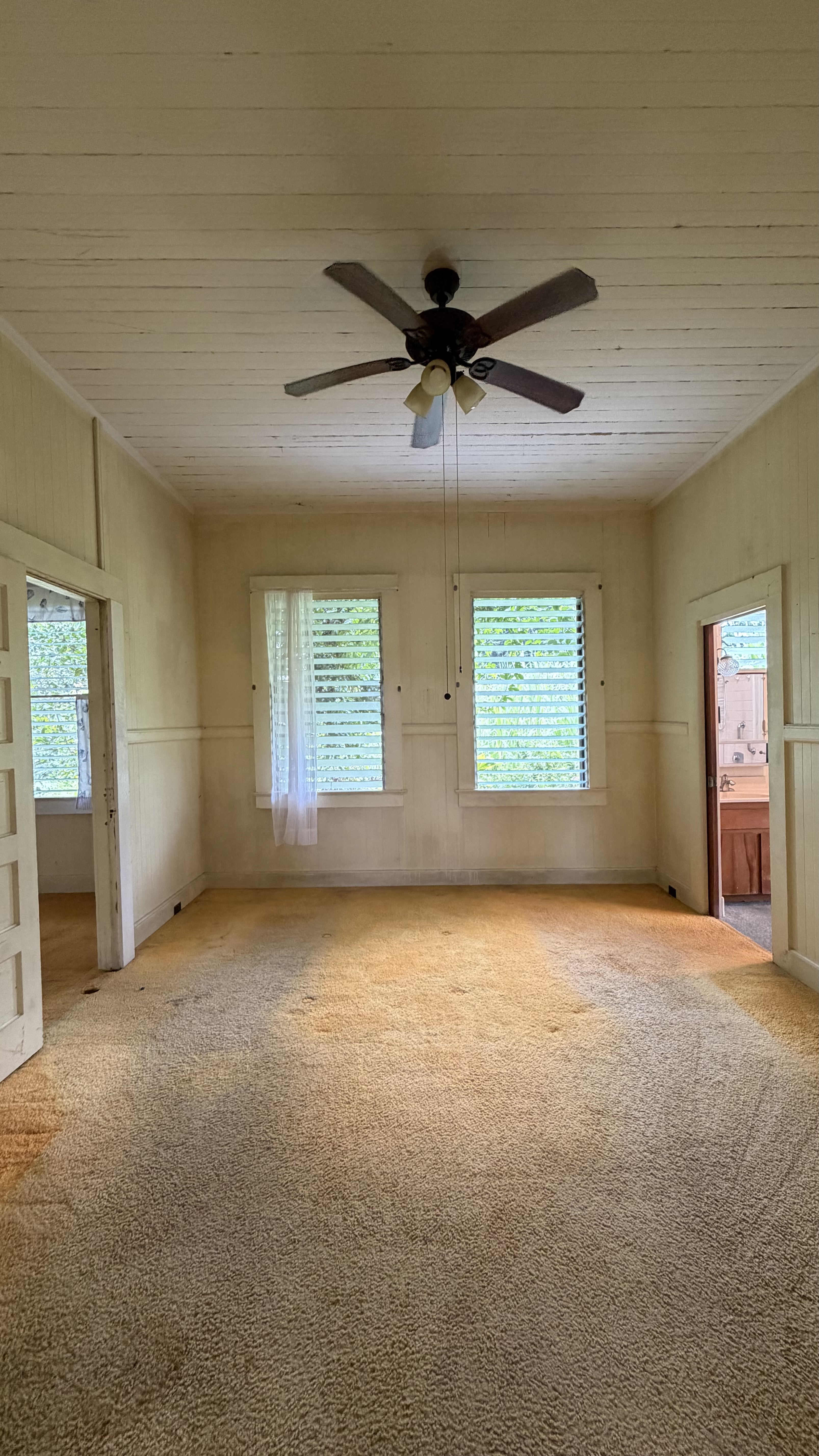 156 Wainaku St Property Photo 8