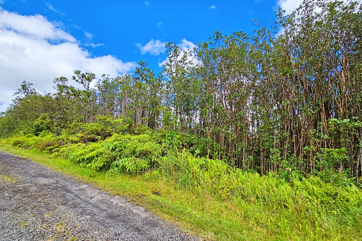 Ala Naulani Rd Lot 46 Property Photo 3