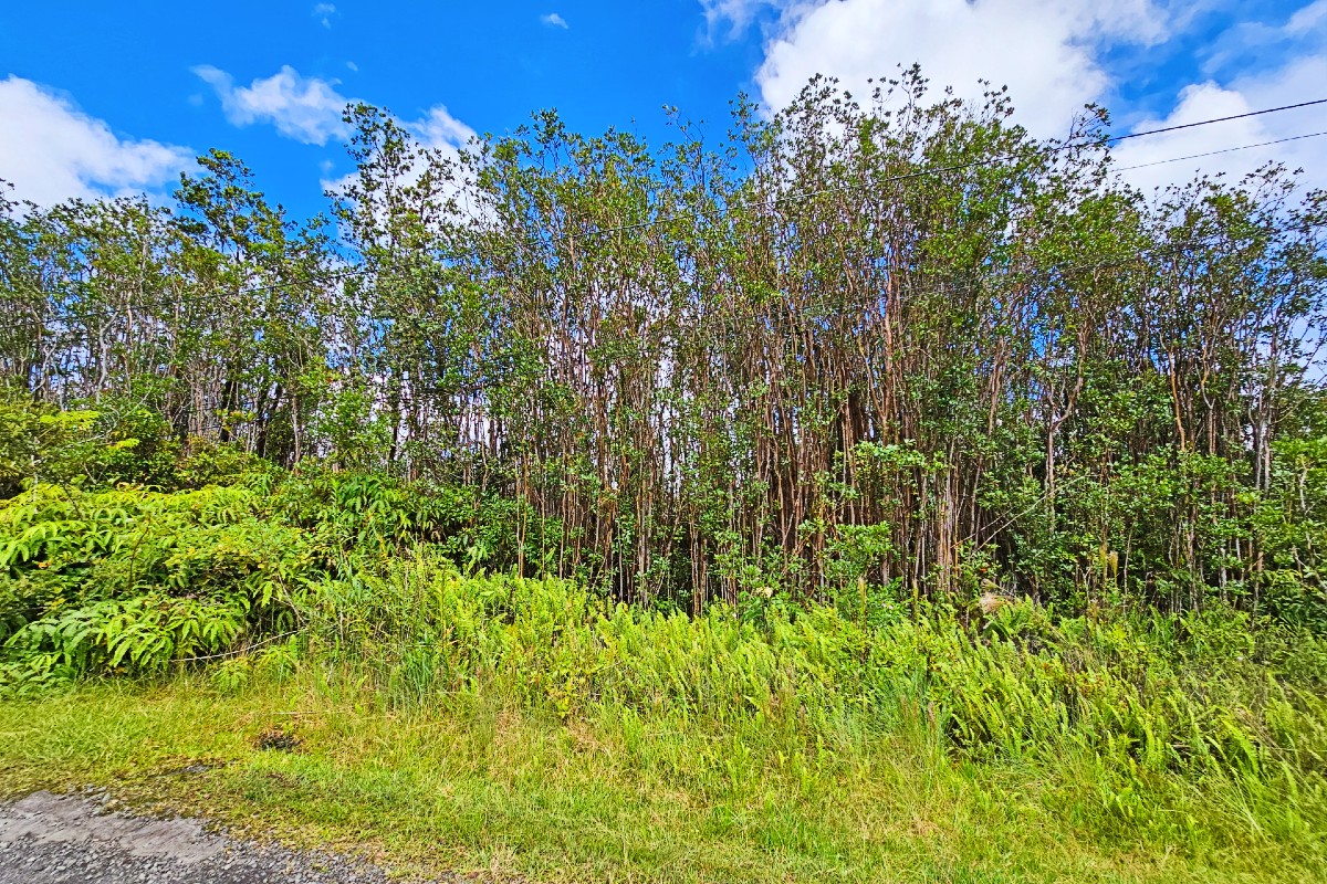Ala Naulani Rd Lot 46 Property Photo 4