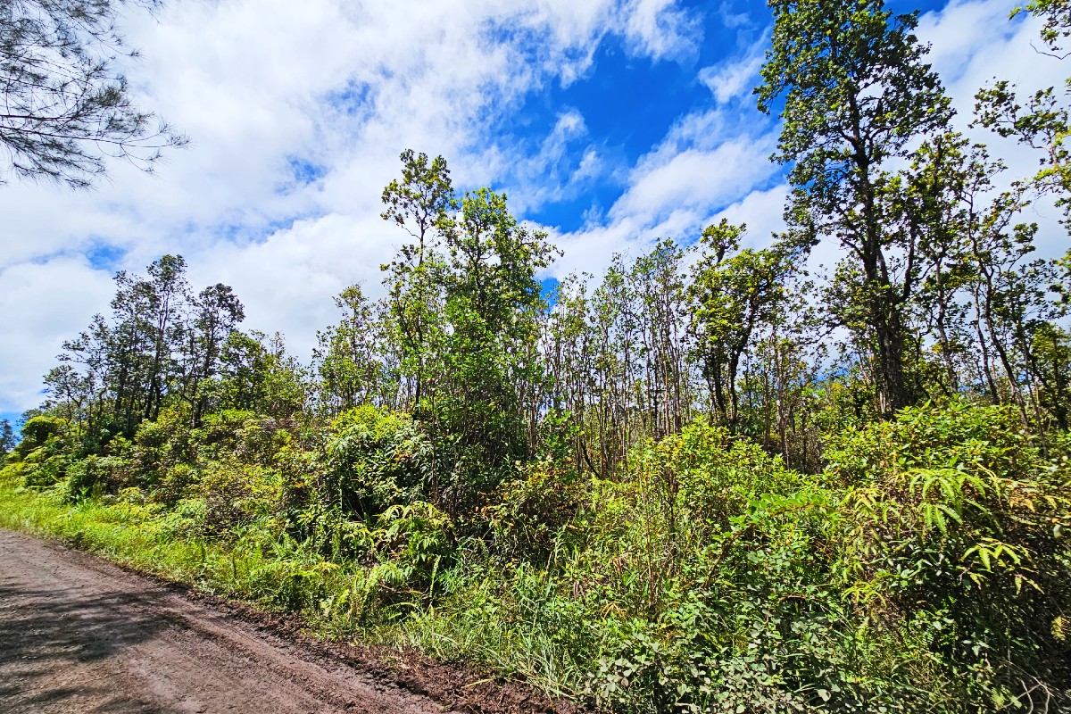 Ala Naulani Rd Lot 46 Property Photo 6