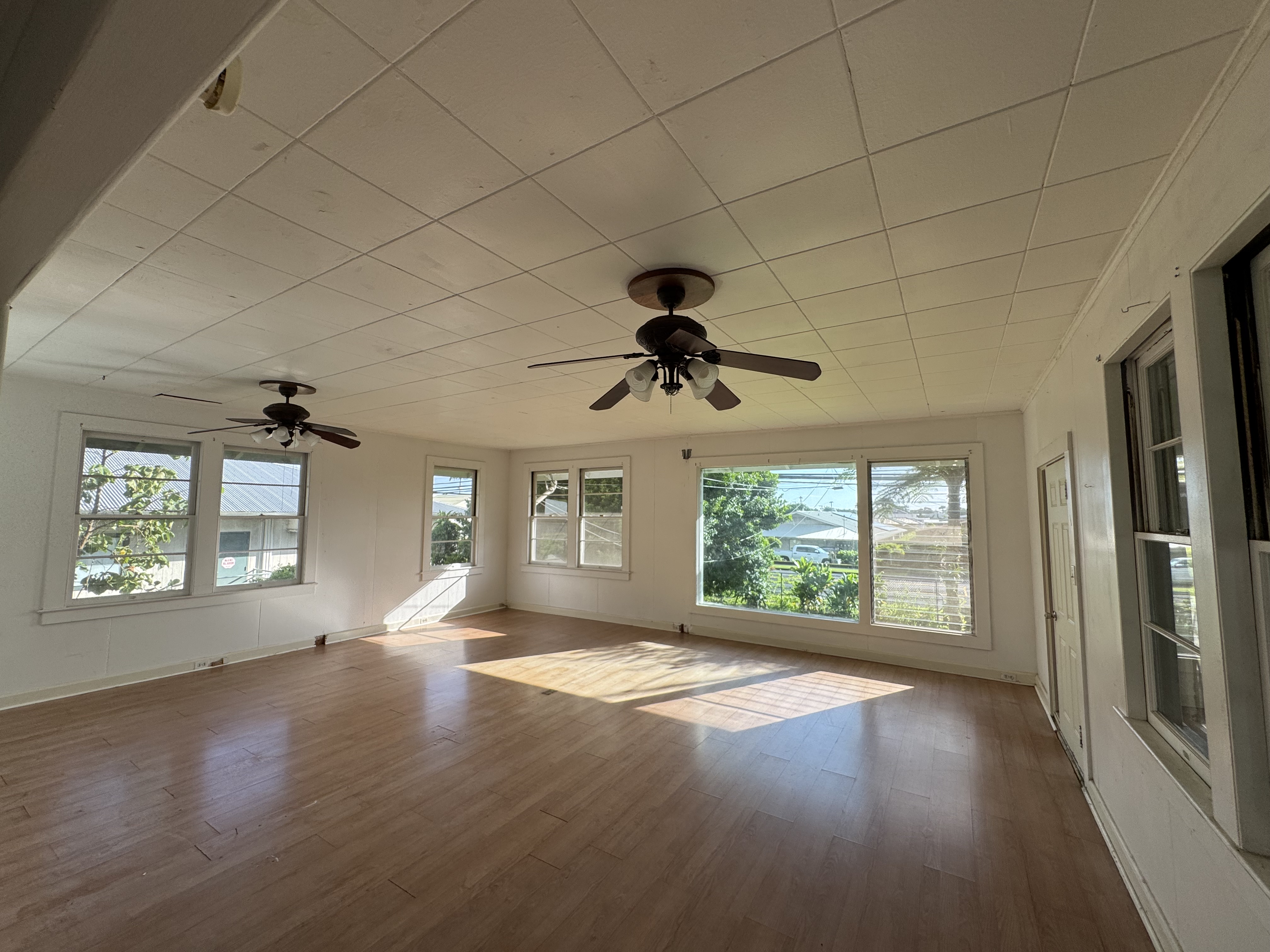 1186 Kinoole St Property Photo 3