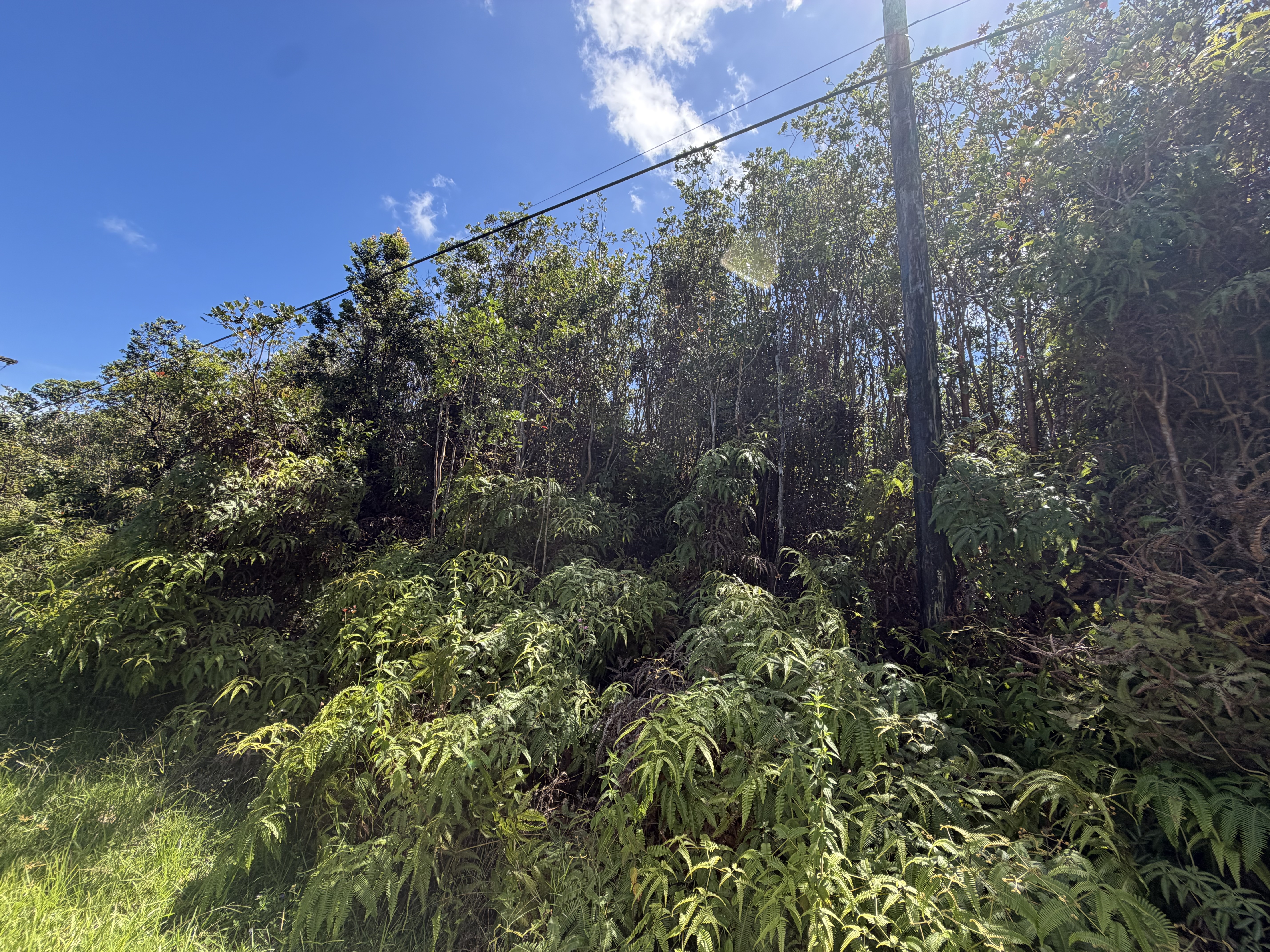 Ohia Ave Property Photo 6