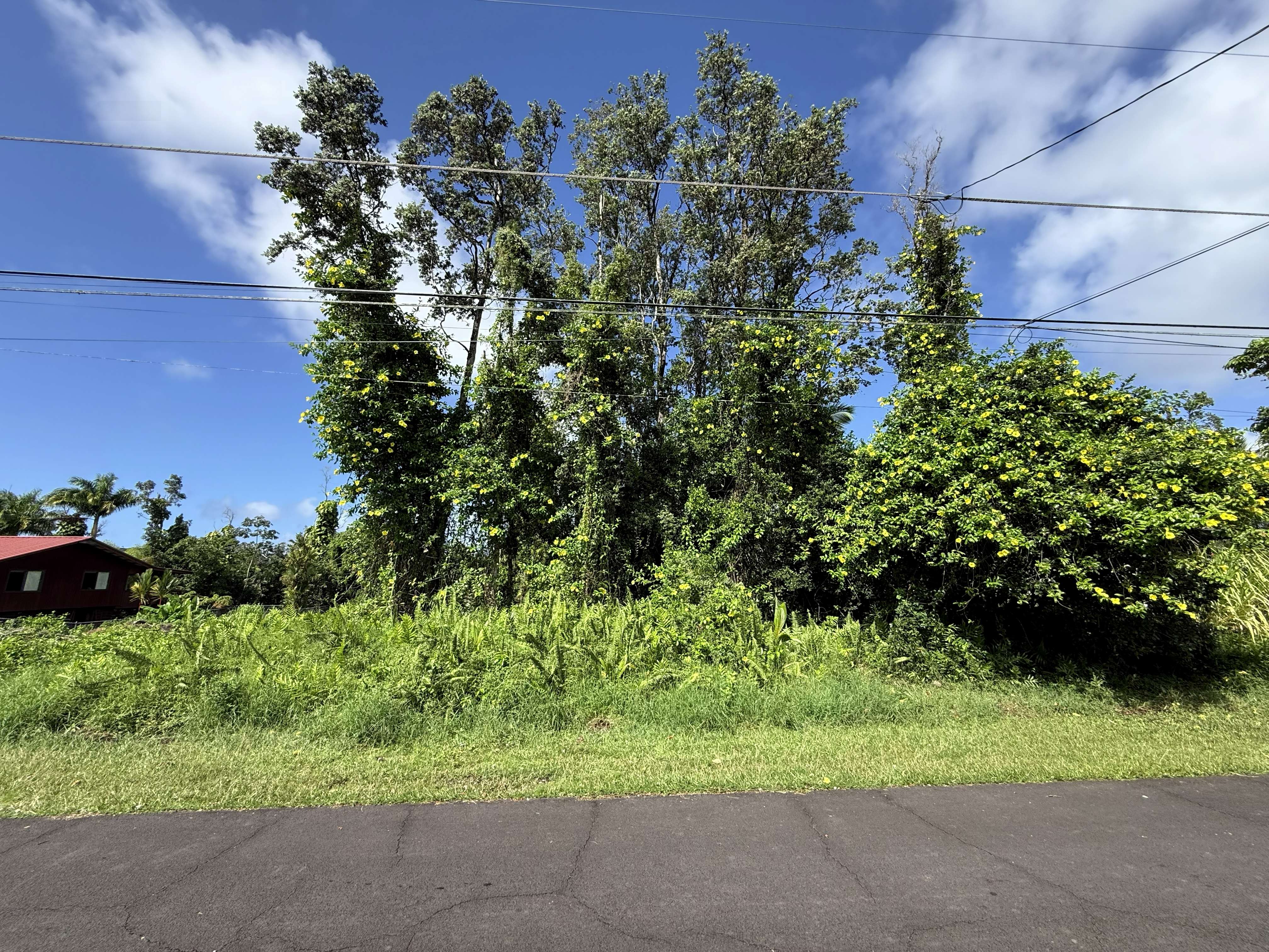 Maikoiko St Property Photo 4