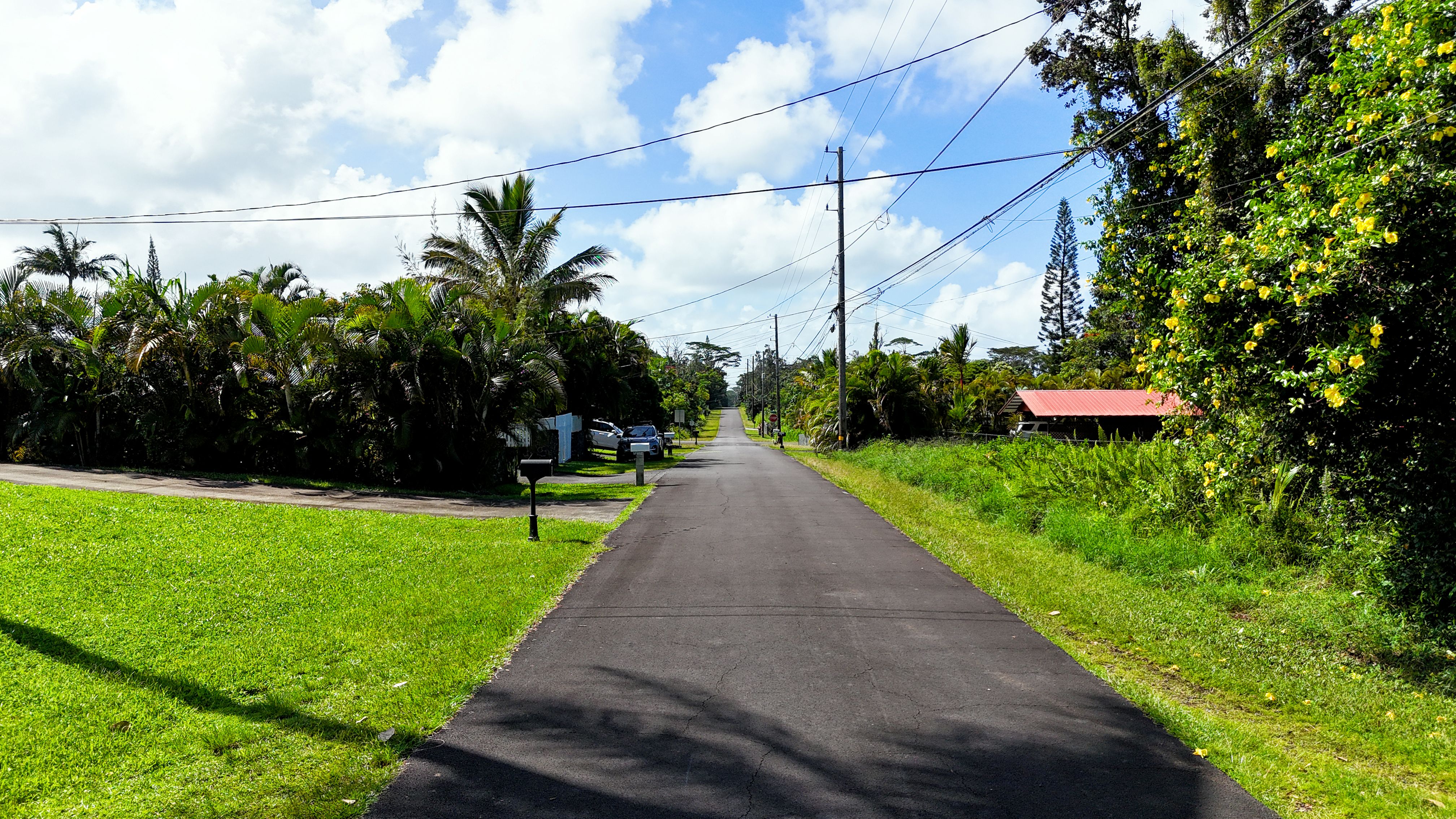 Maikoiko St Property Photo 9