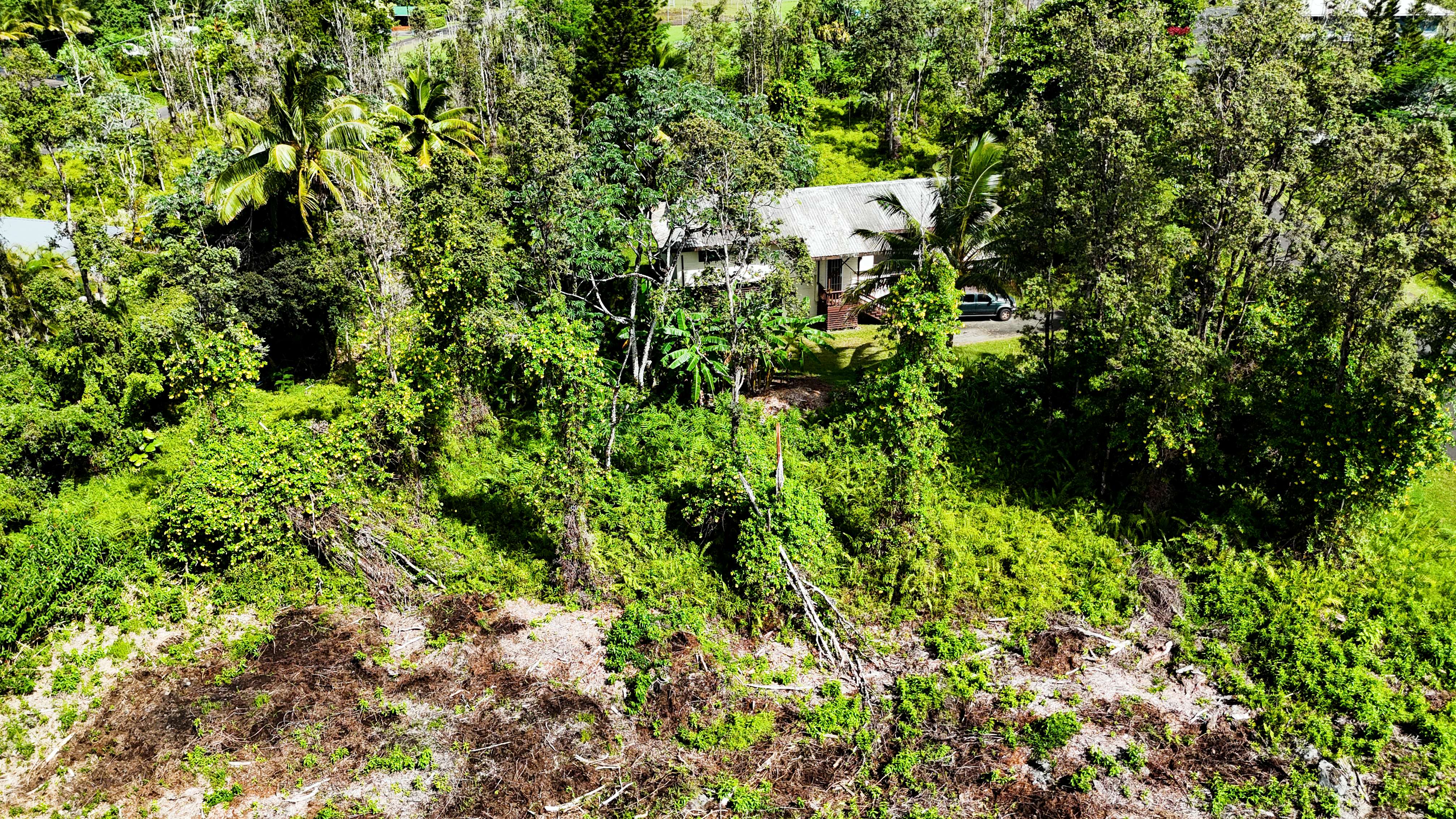 Maikoiko St Property Photo 21