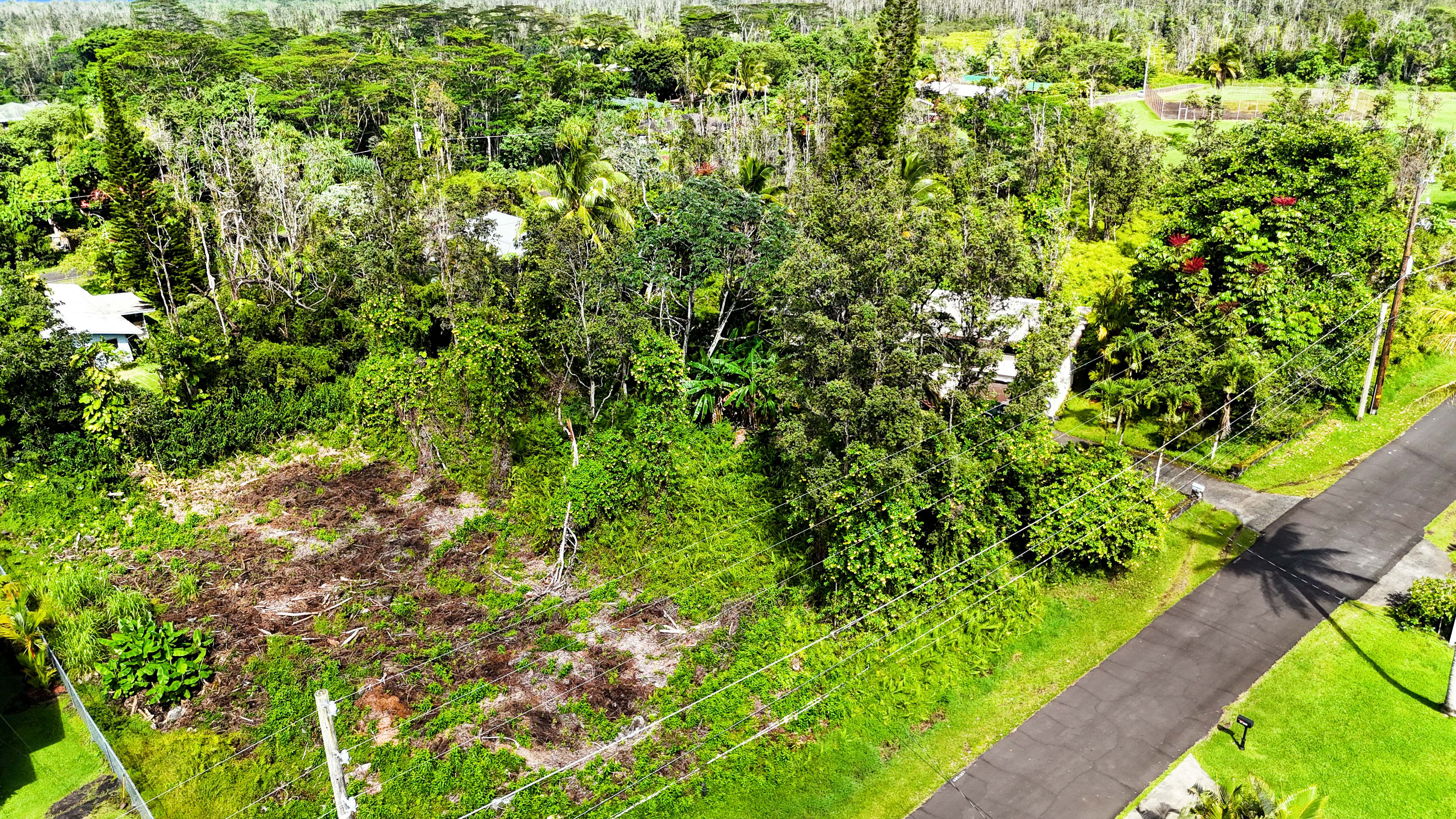 Maikoiko St Property Photo 23