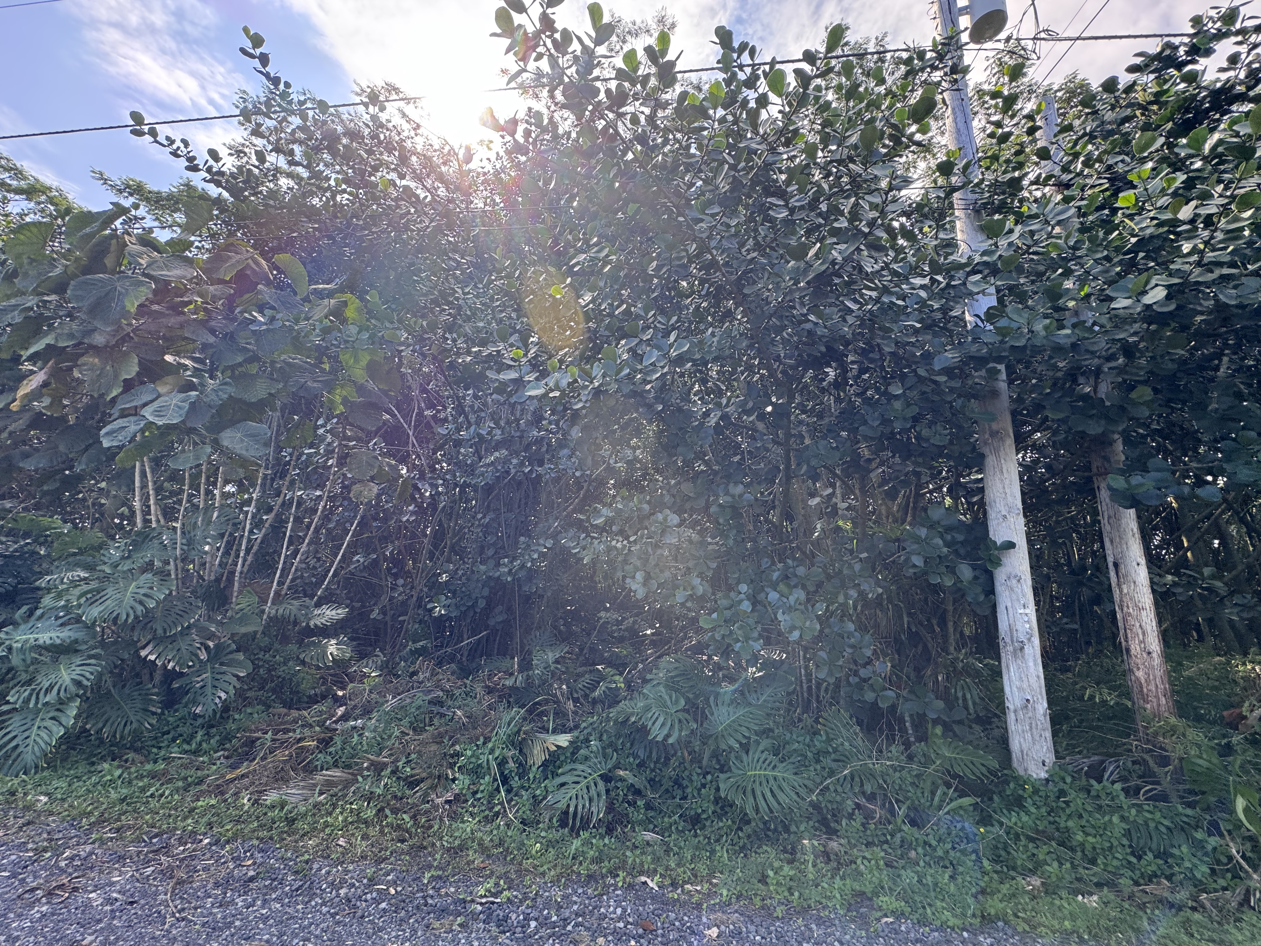 7TH AVE Property Photo 1