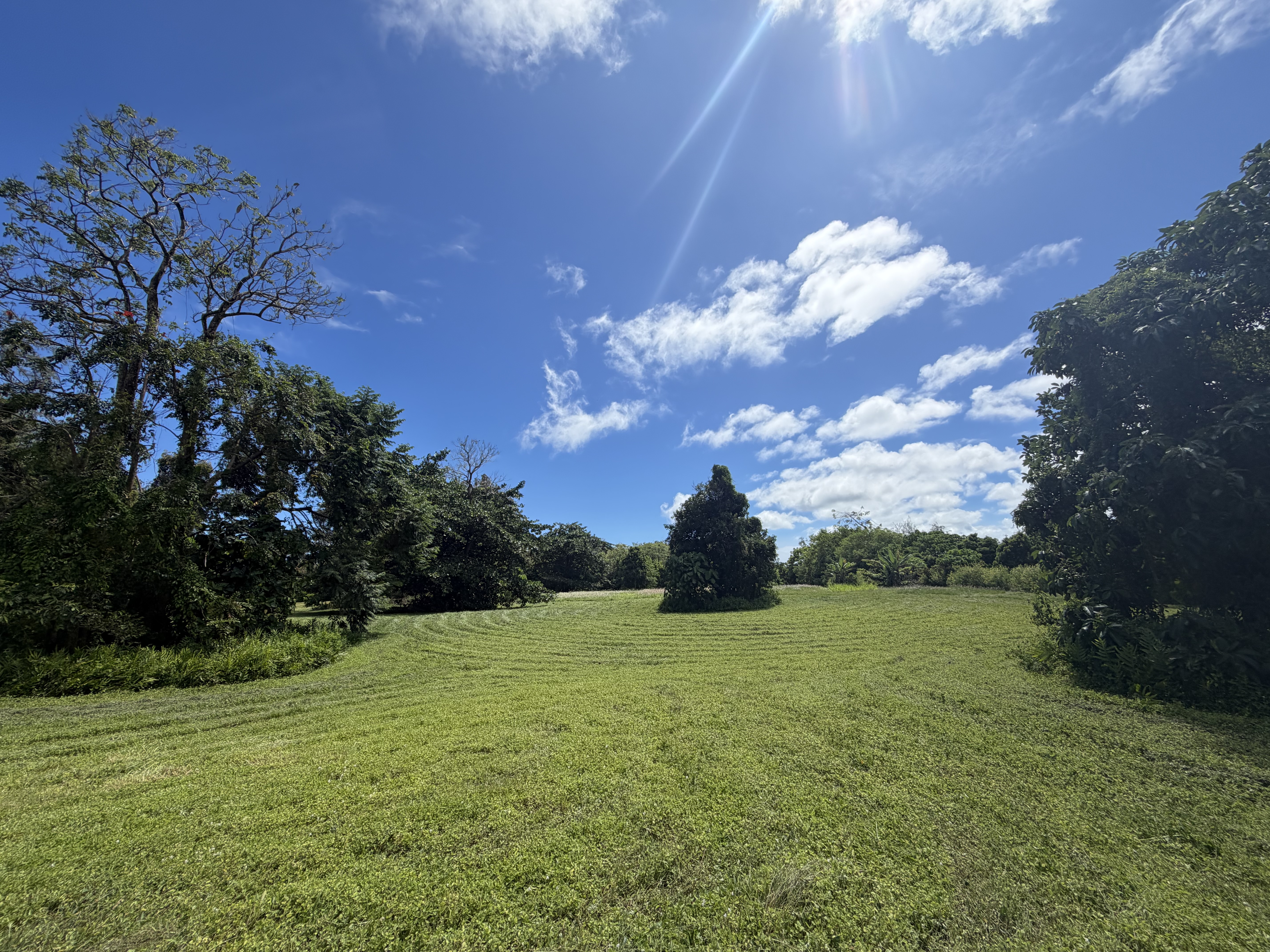 13-2052 Lolia Pl Property Photo 2