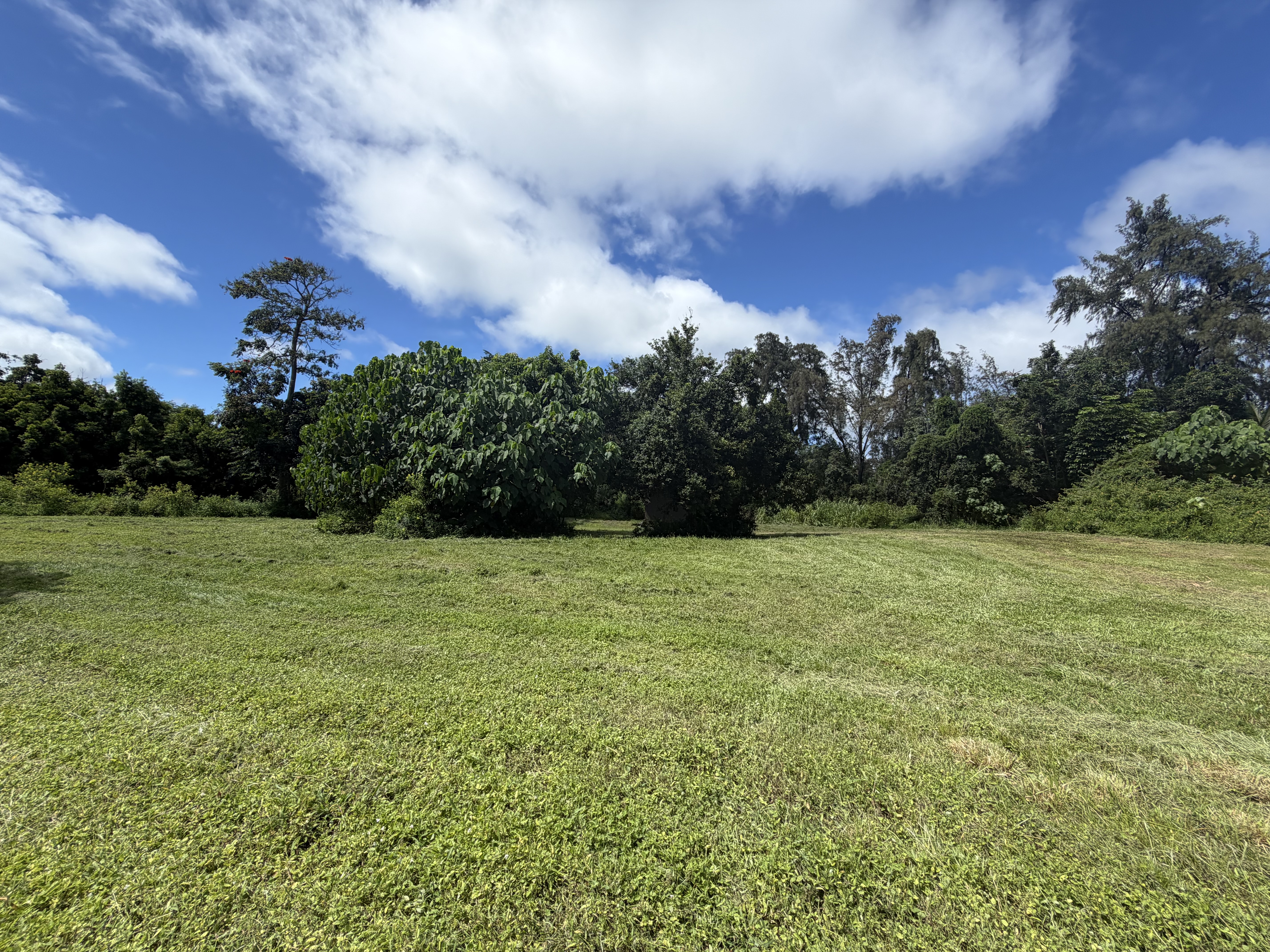 13-2052 Lolia Pl Property Photo 4