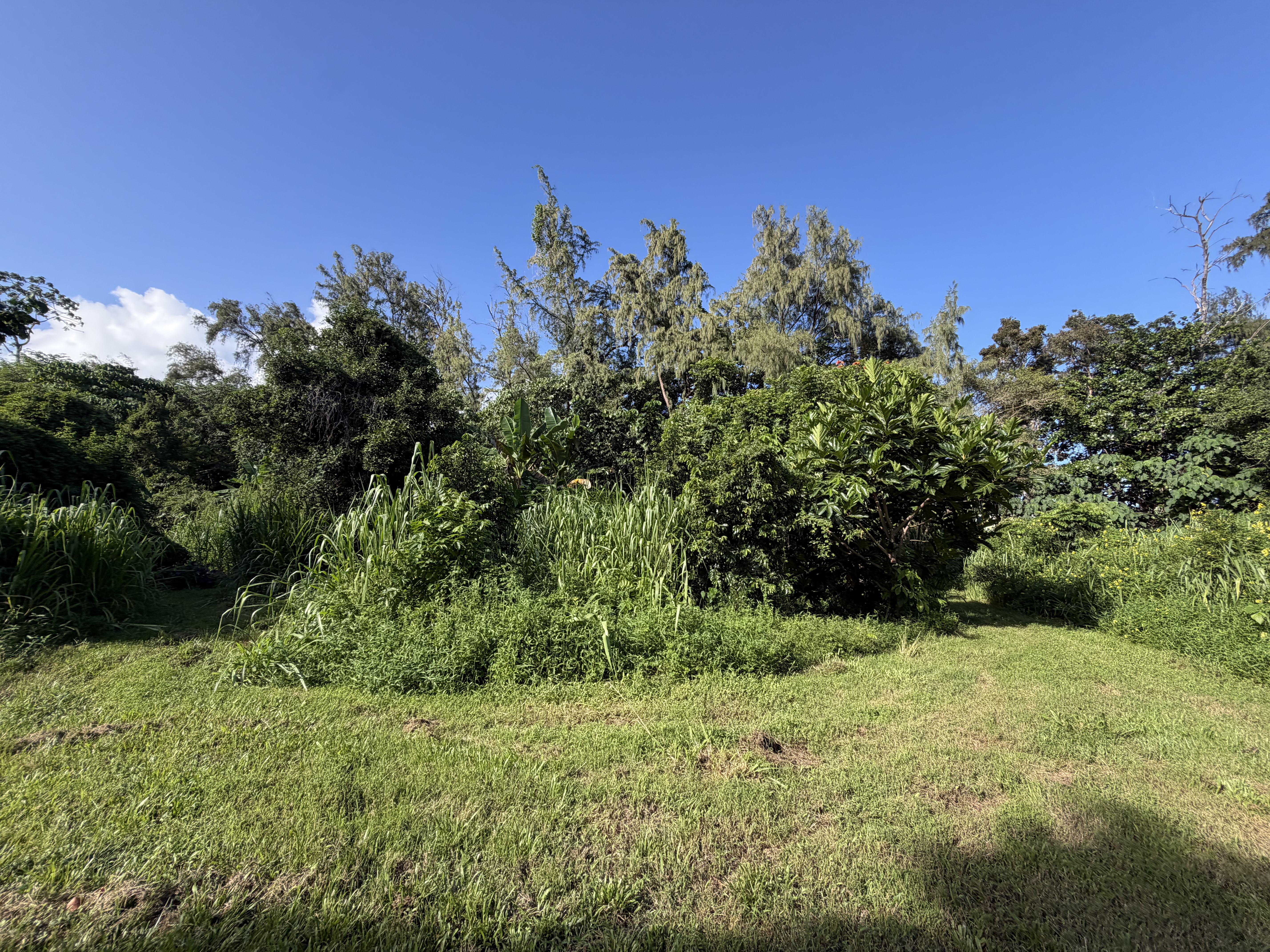 13-2056 Lolia Pl Property Photo 3