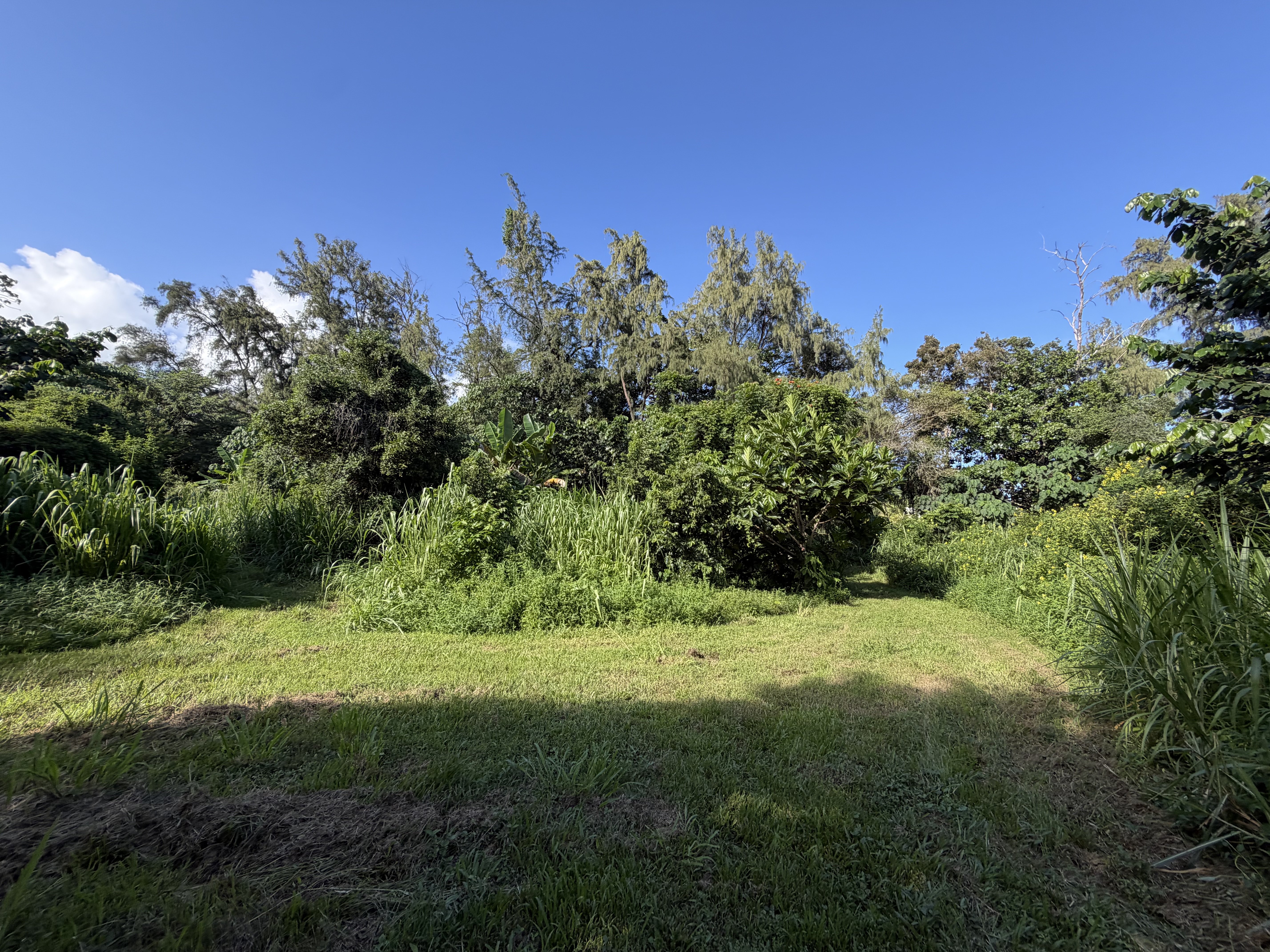 13-2056 Lolia Pl Property Photo 4