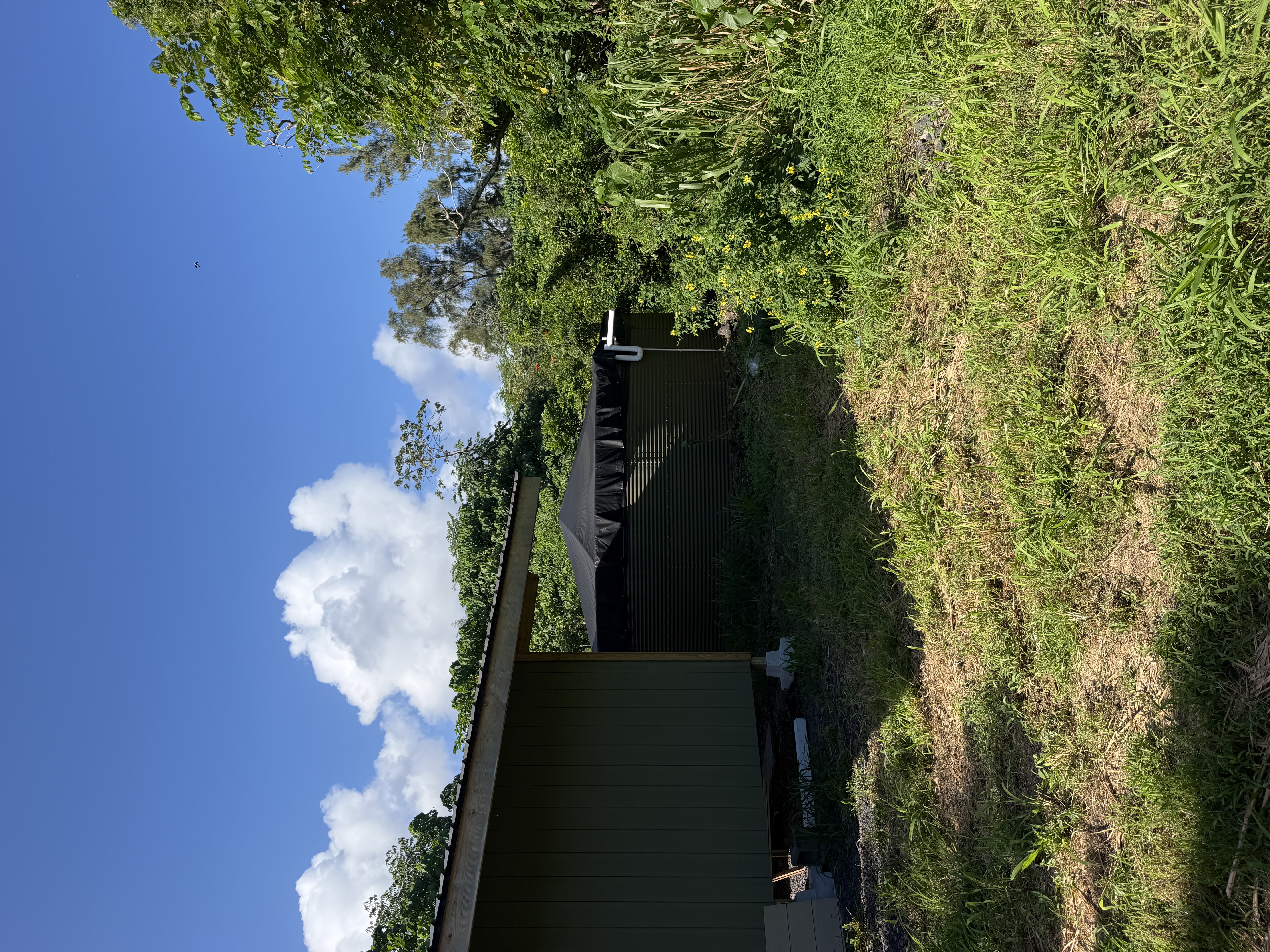 13-2056 Lolia Pl Property Photo 17
