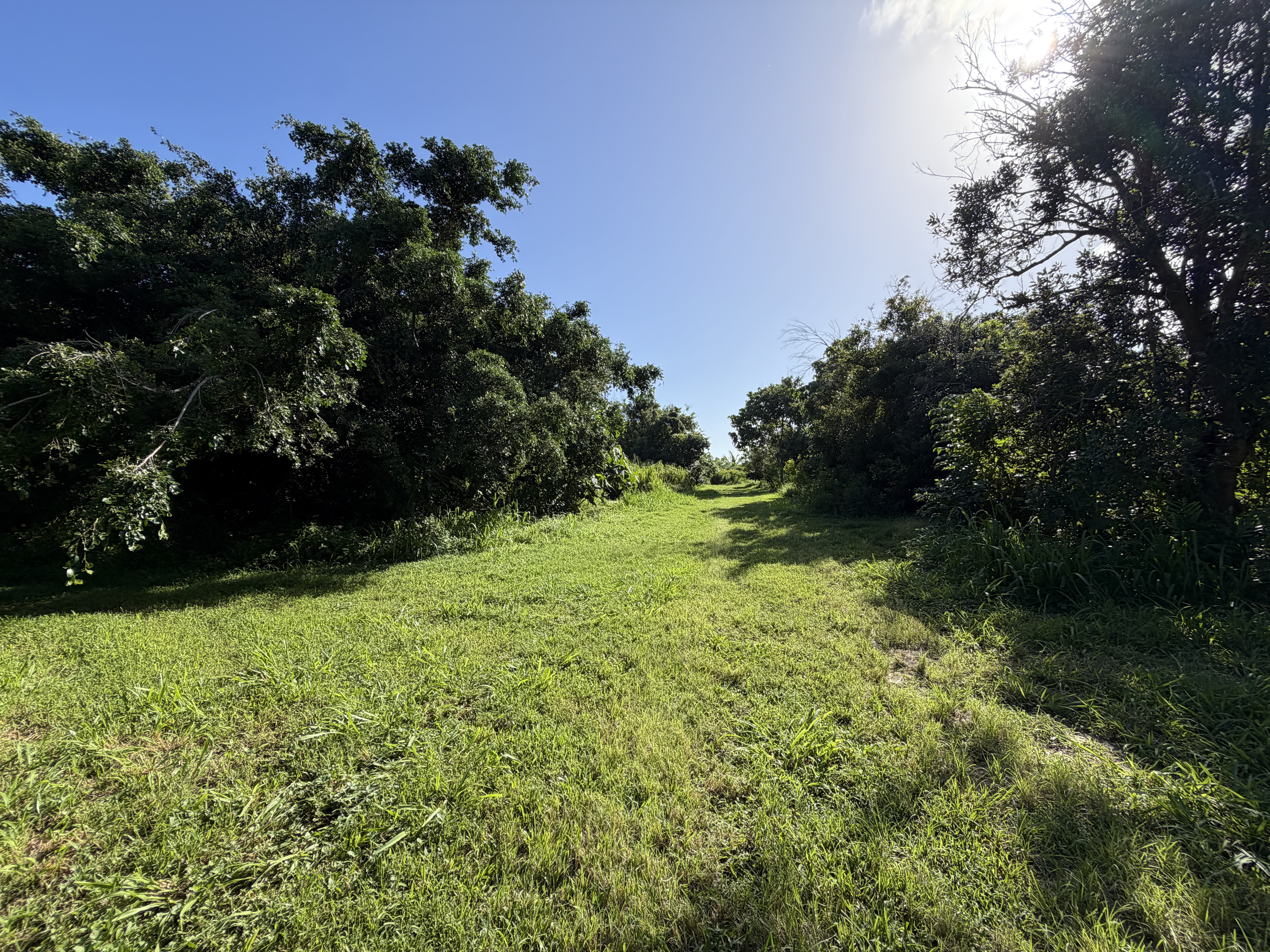 13-2056 Lolia Pl Property Photo 18
