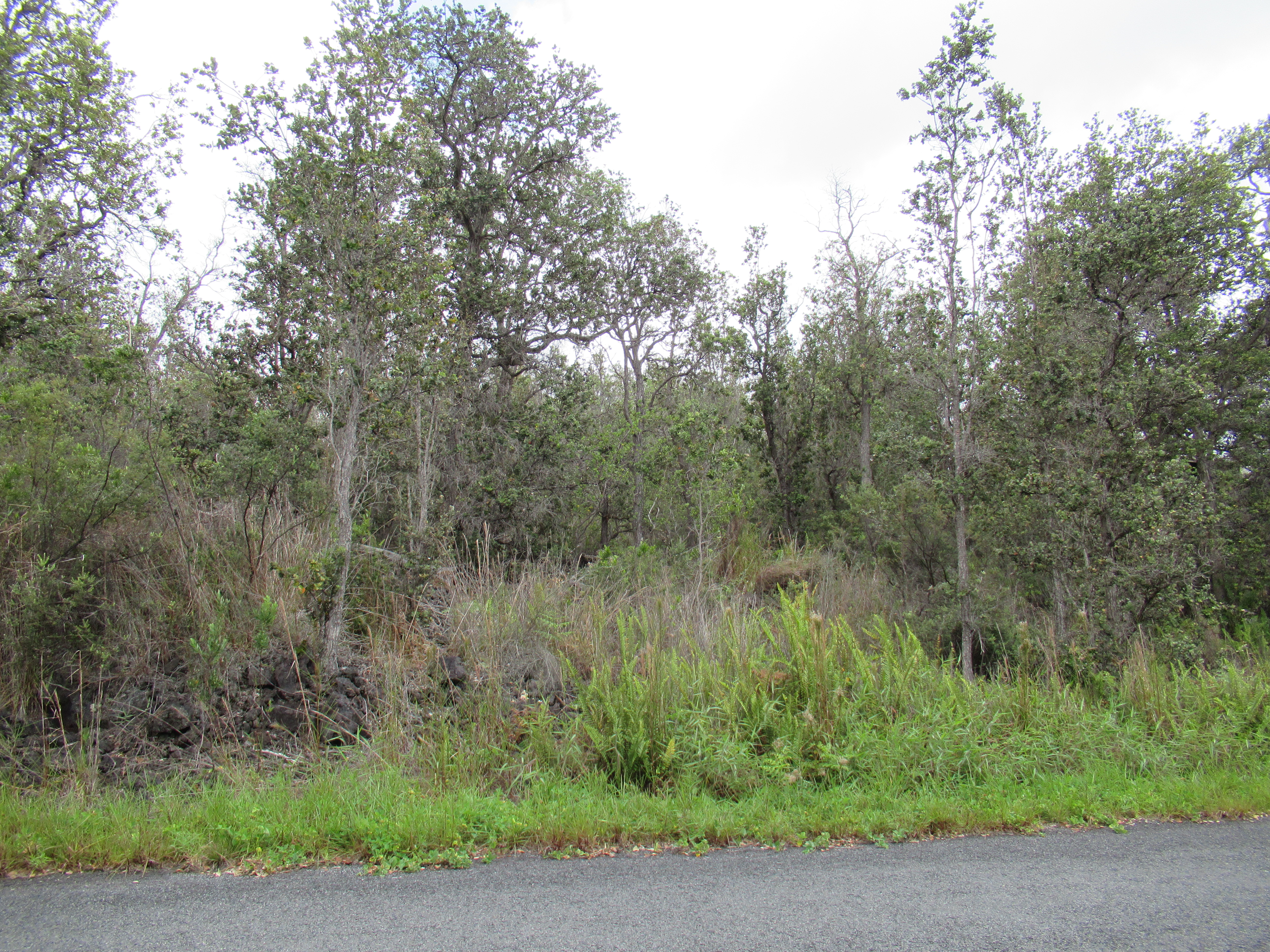 Tiki Ln Property Photo 2
