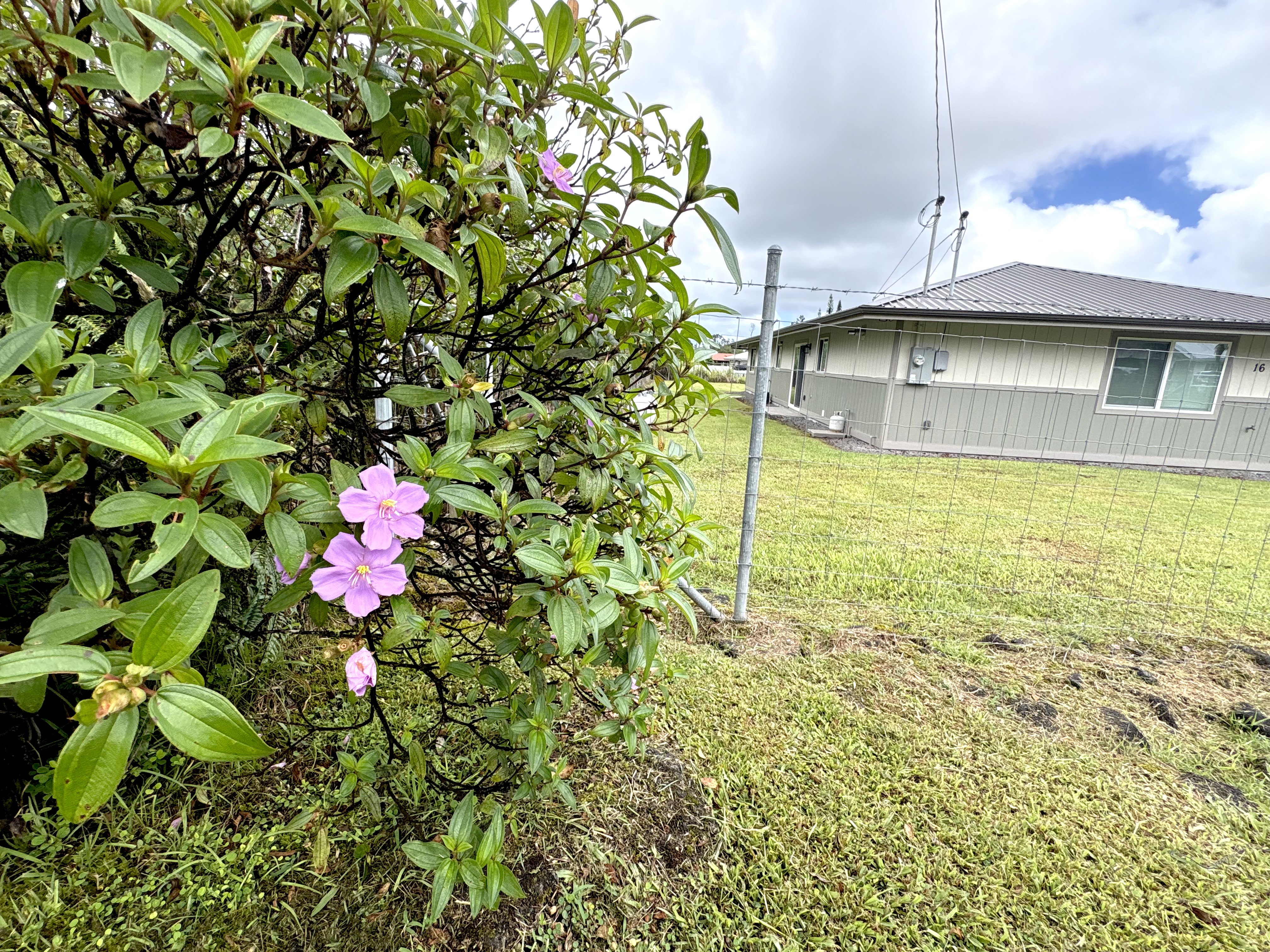 16-2109 Rainbow Dr Property Photo 13