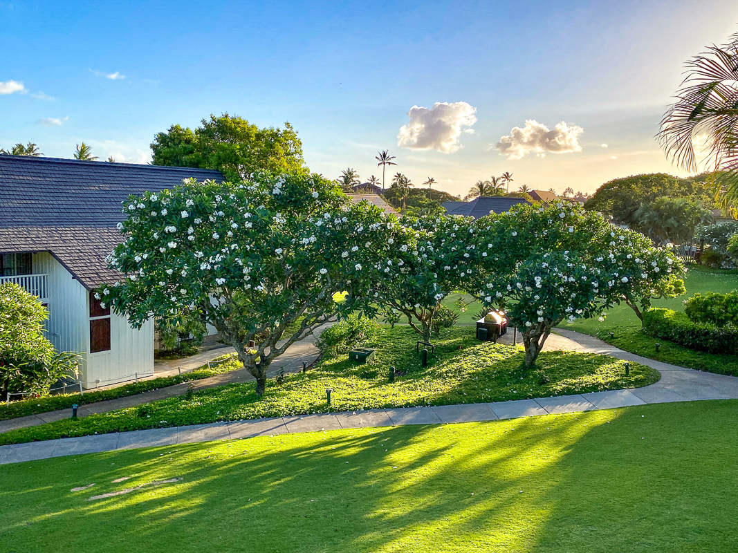 2253 Poipu Rd 107 Property Photo 19