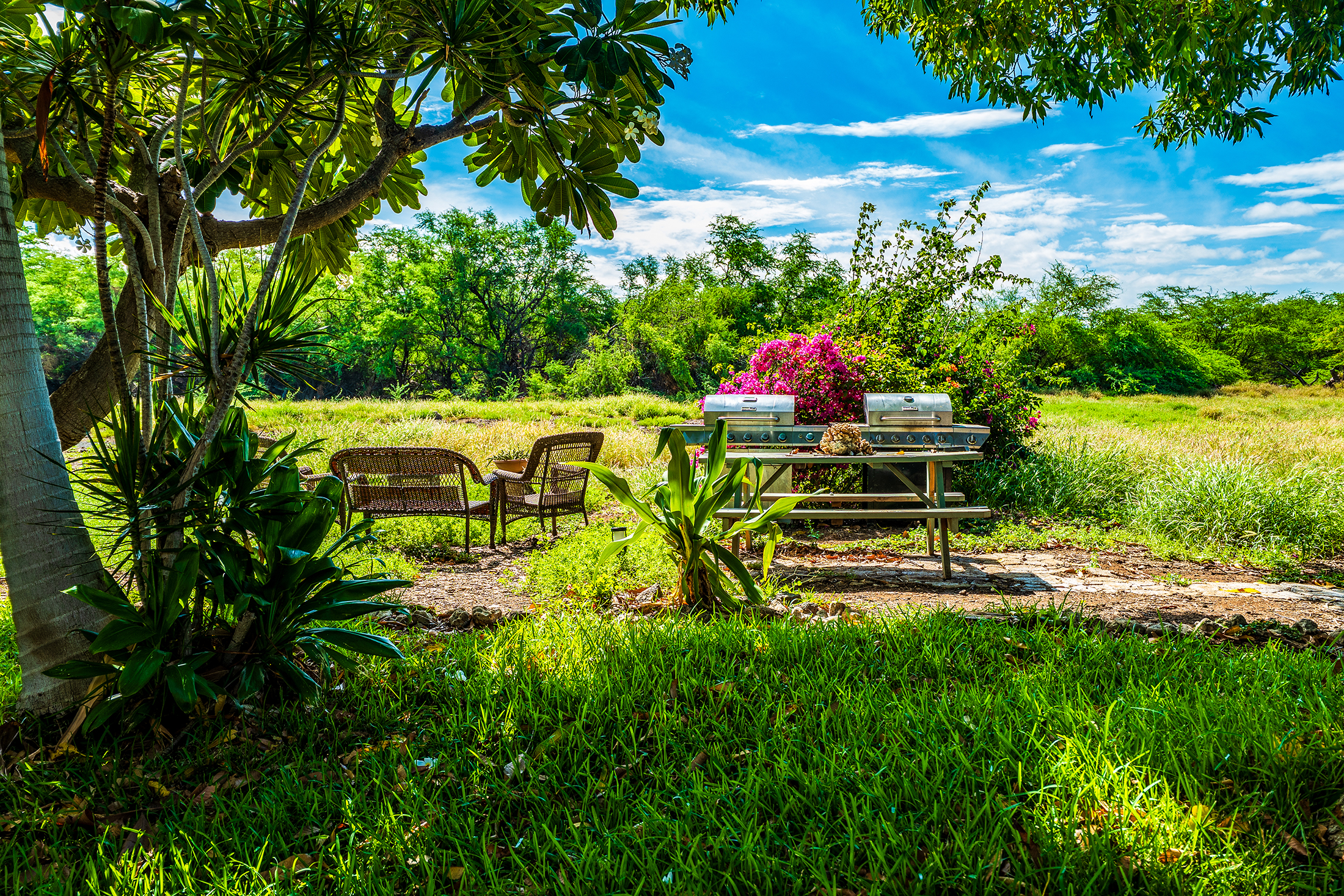 69-1725 Puako Beach Dr 1 Property Photo 18
