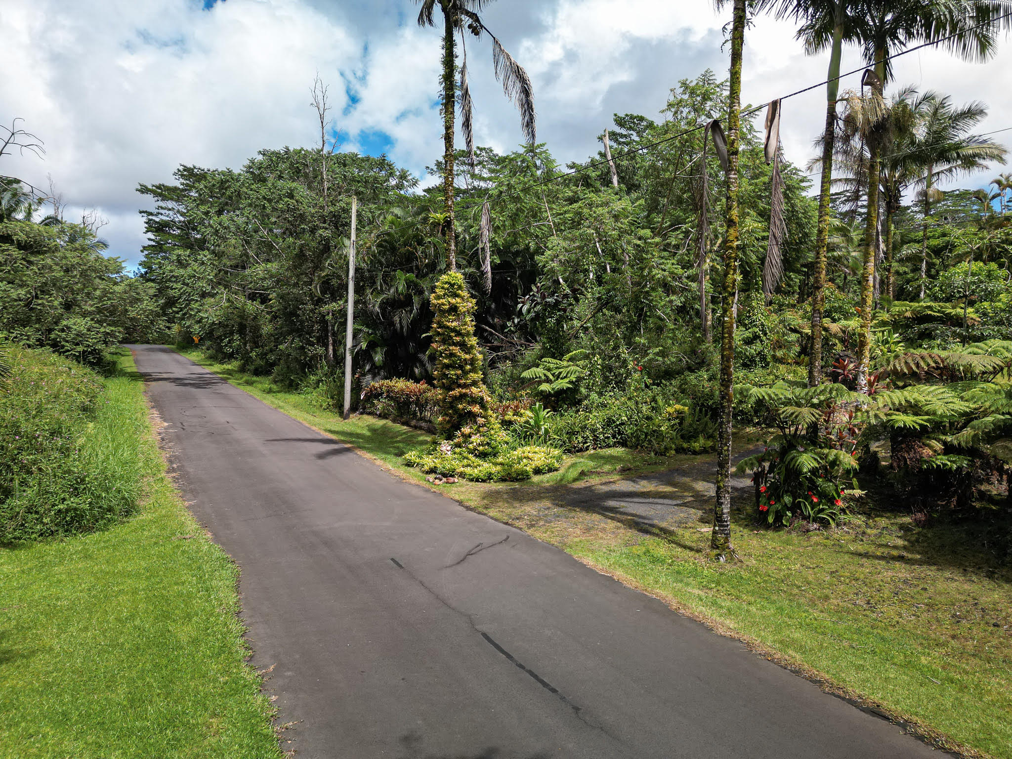 13-1091 Malama St Property Photo 4
