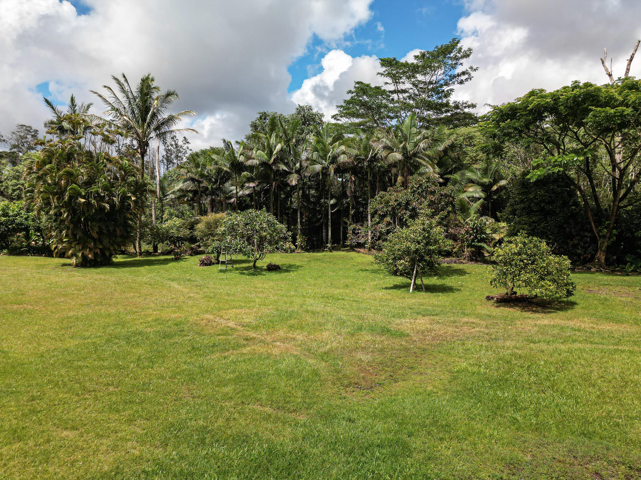 13-1091 Malama St Property Photo 5