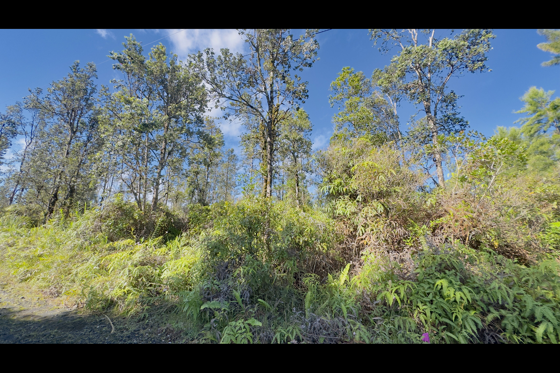Road 2 (ao) Property Photo 1
