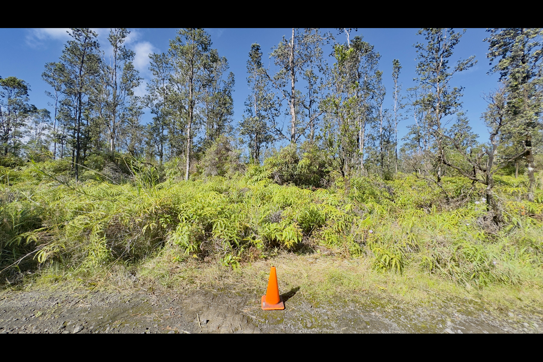 Road 2 (ao) Property Photo 3