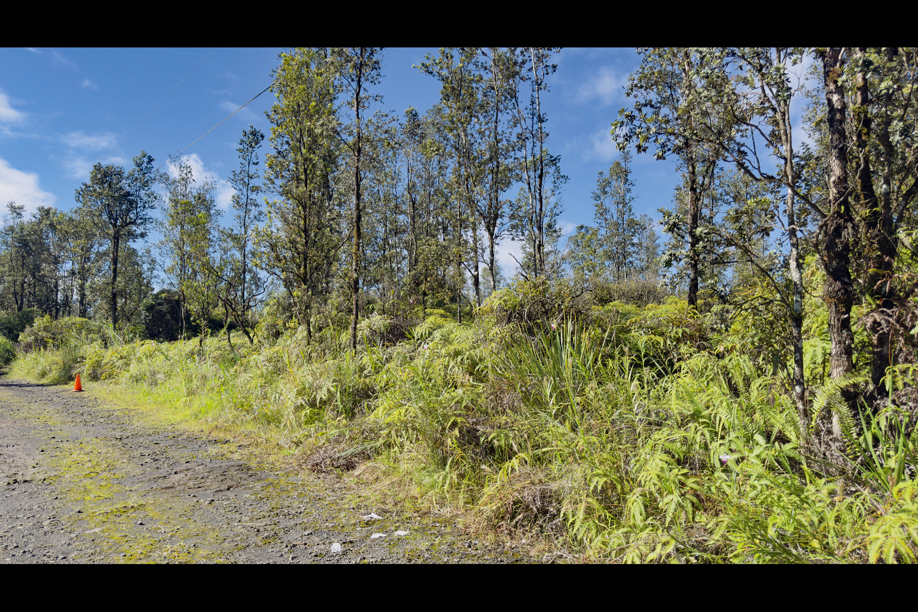 Road 2 (ao) Property Photo 6