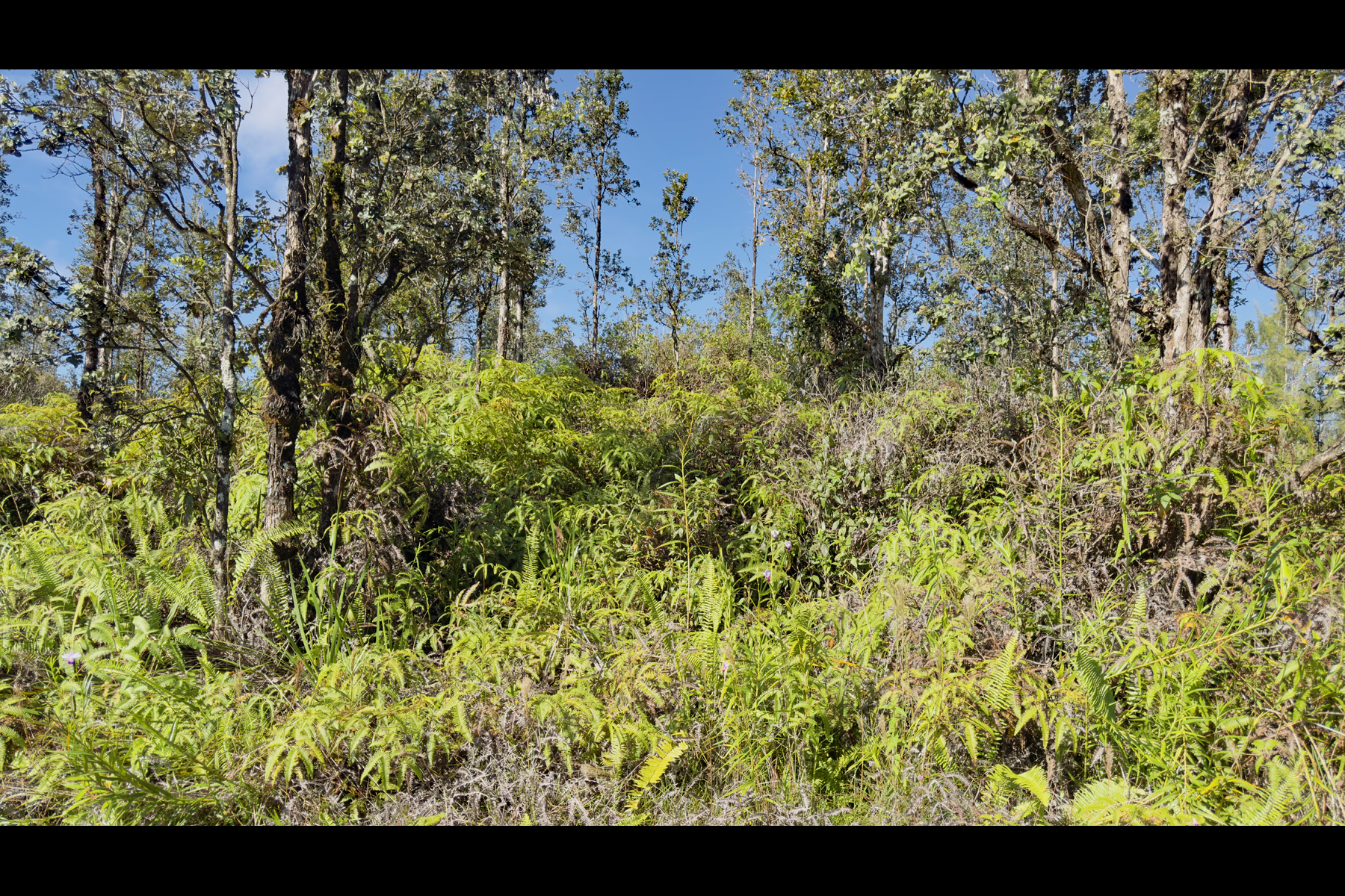 Road 2 (ao) Property Photo 7