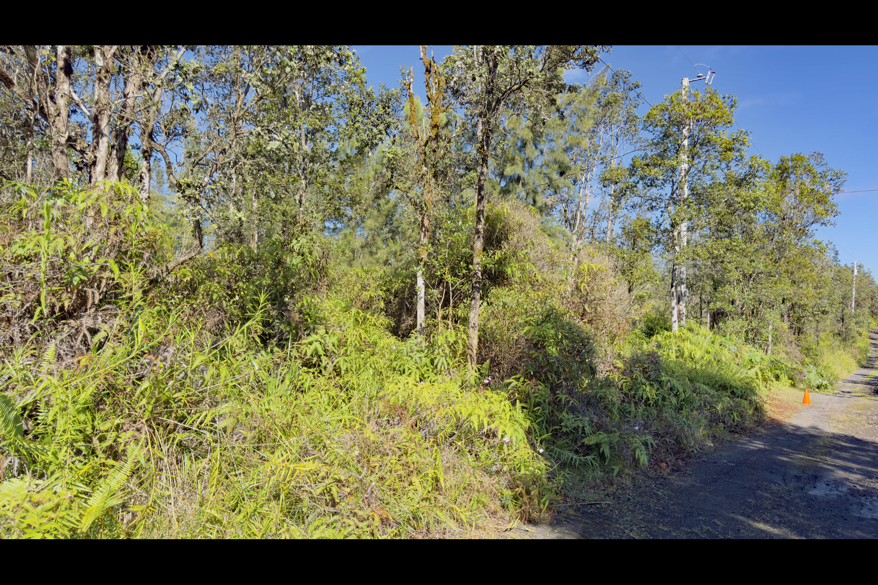 Road 2 (ao) Property Photo 8