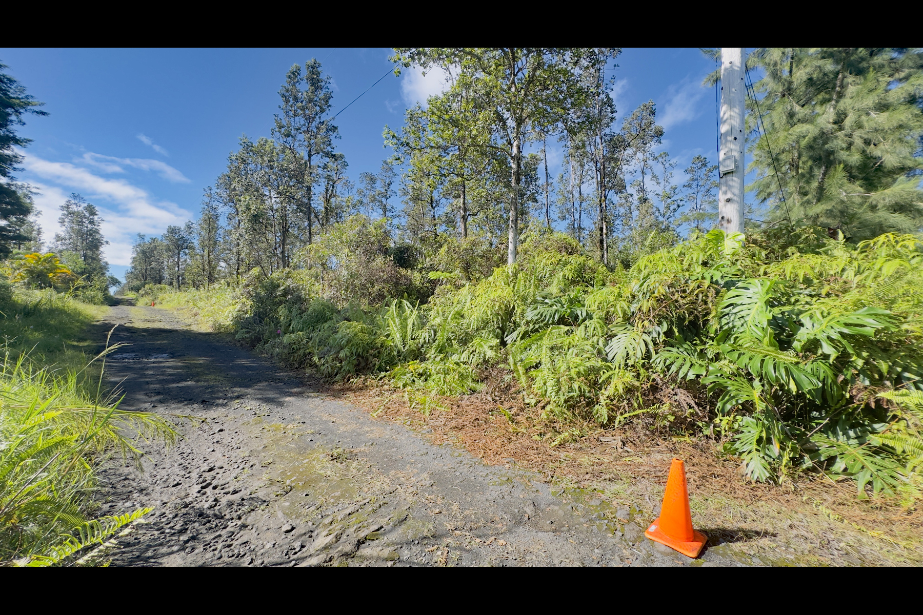 Road 2 (ao) Property Photo 10