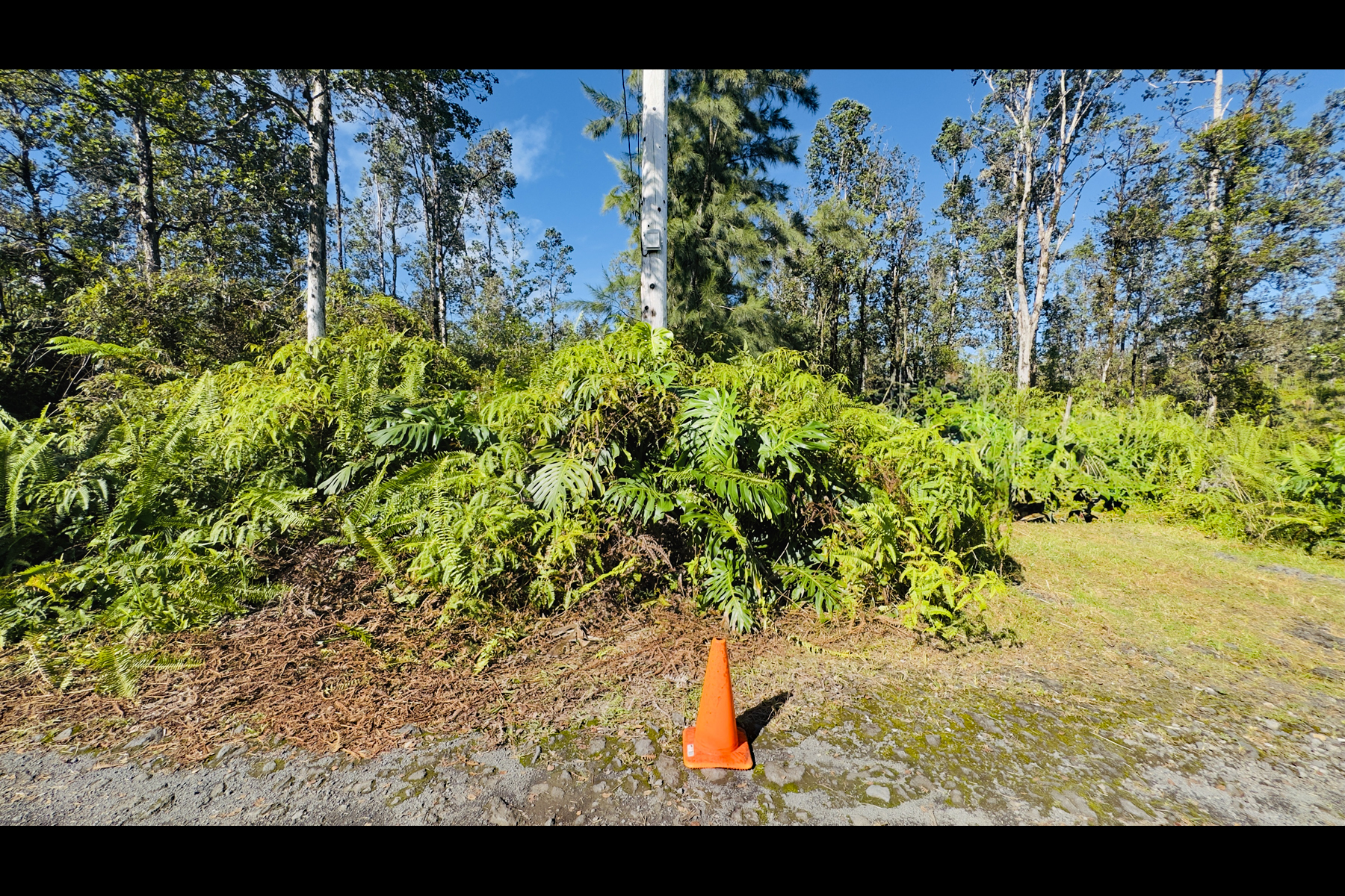 Road 2 (ao) Property Photo 11