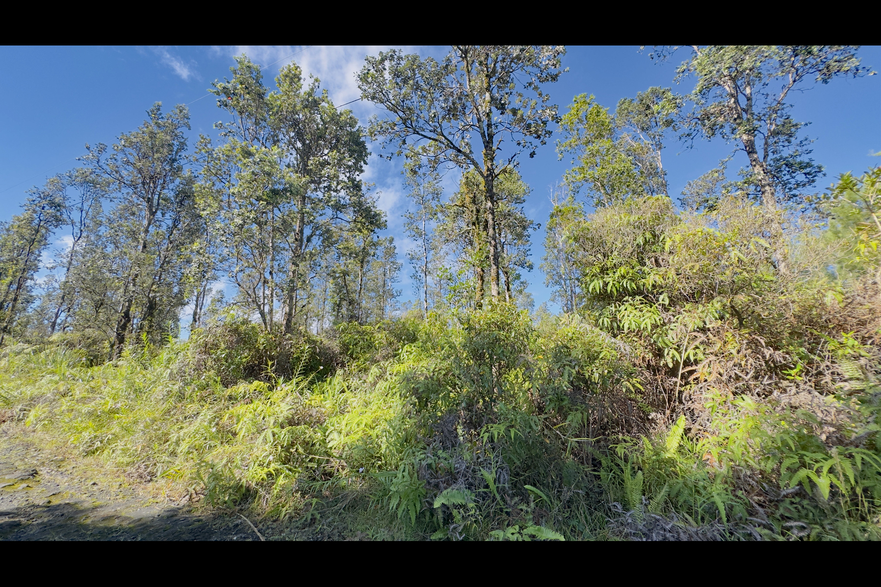 Road 2 (ao) Property Photo 13