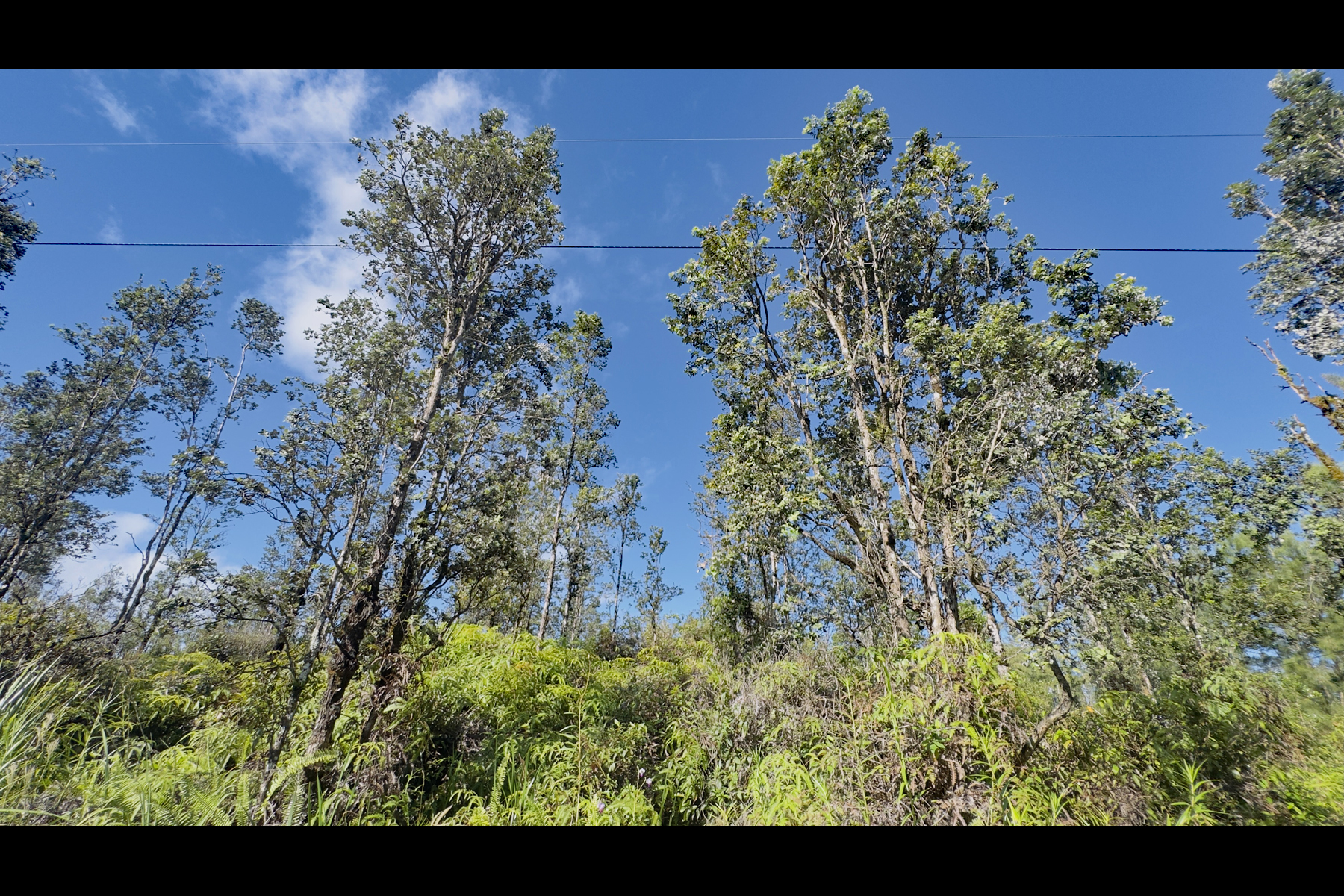Road 2 (ao) Property Photo 14